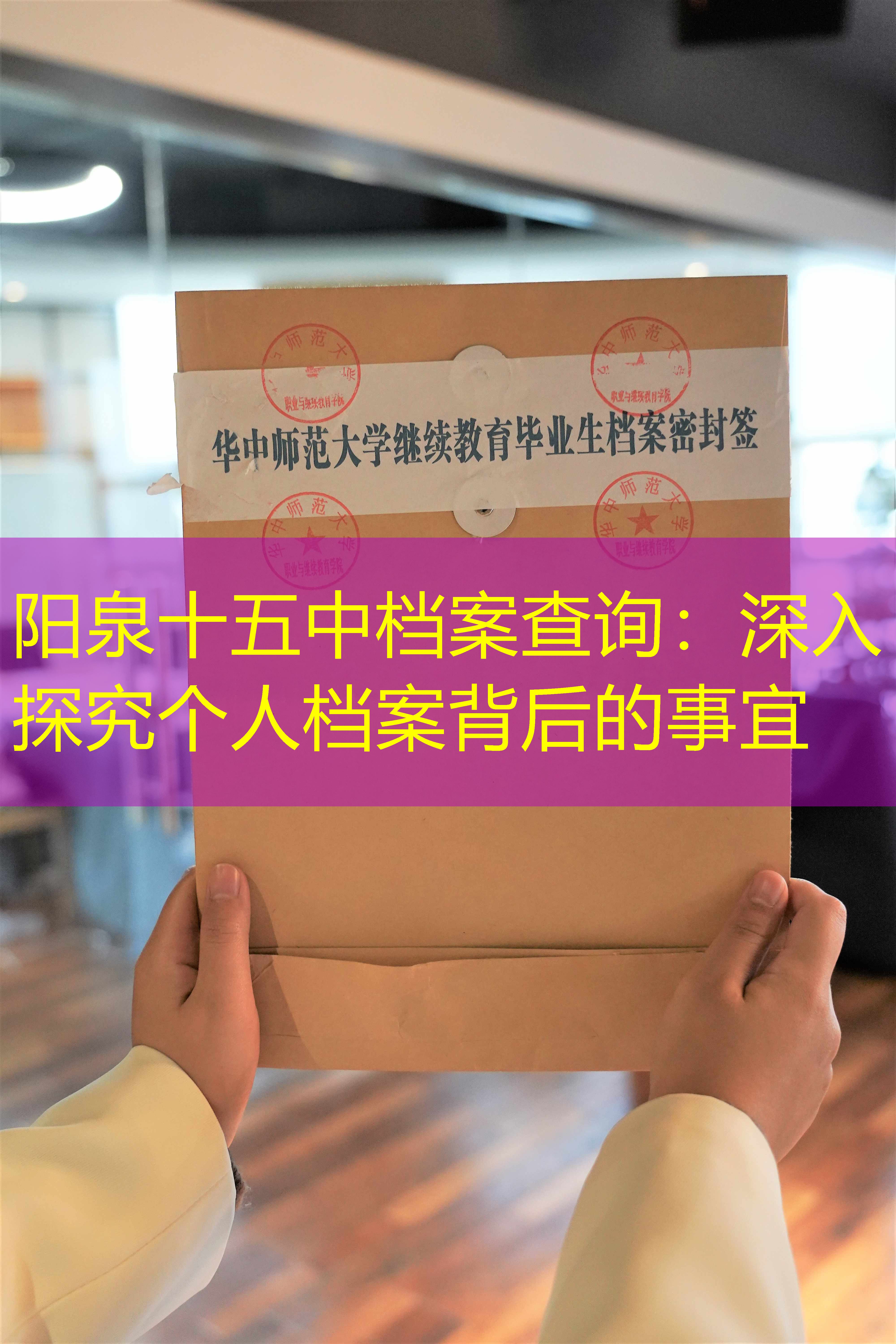 档案查询