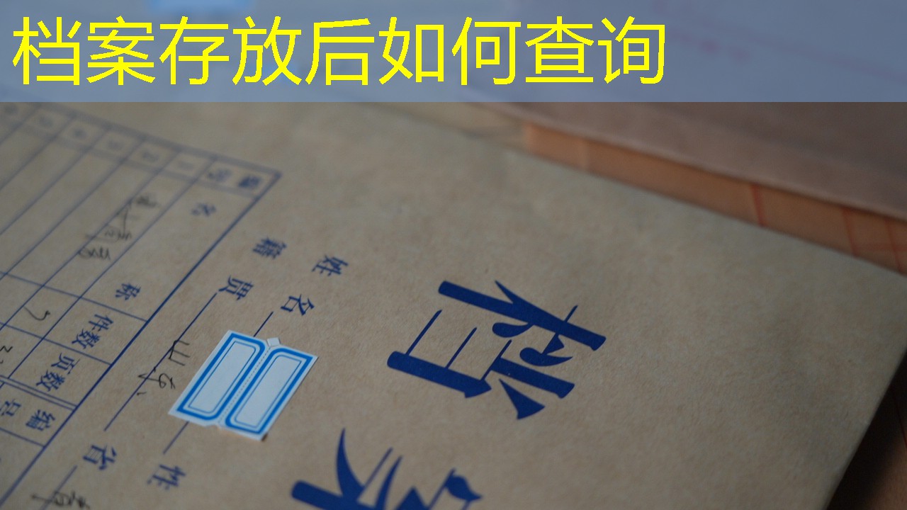 档案查询