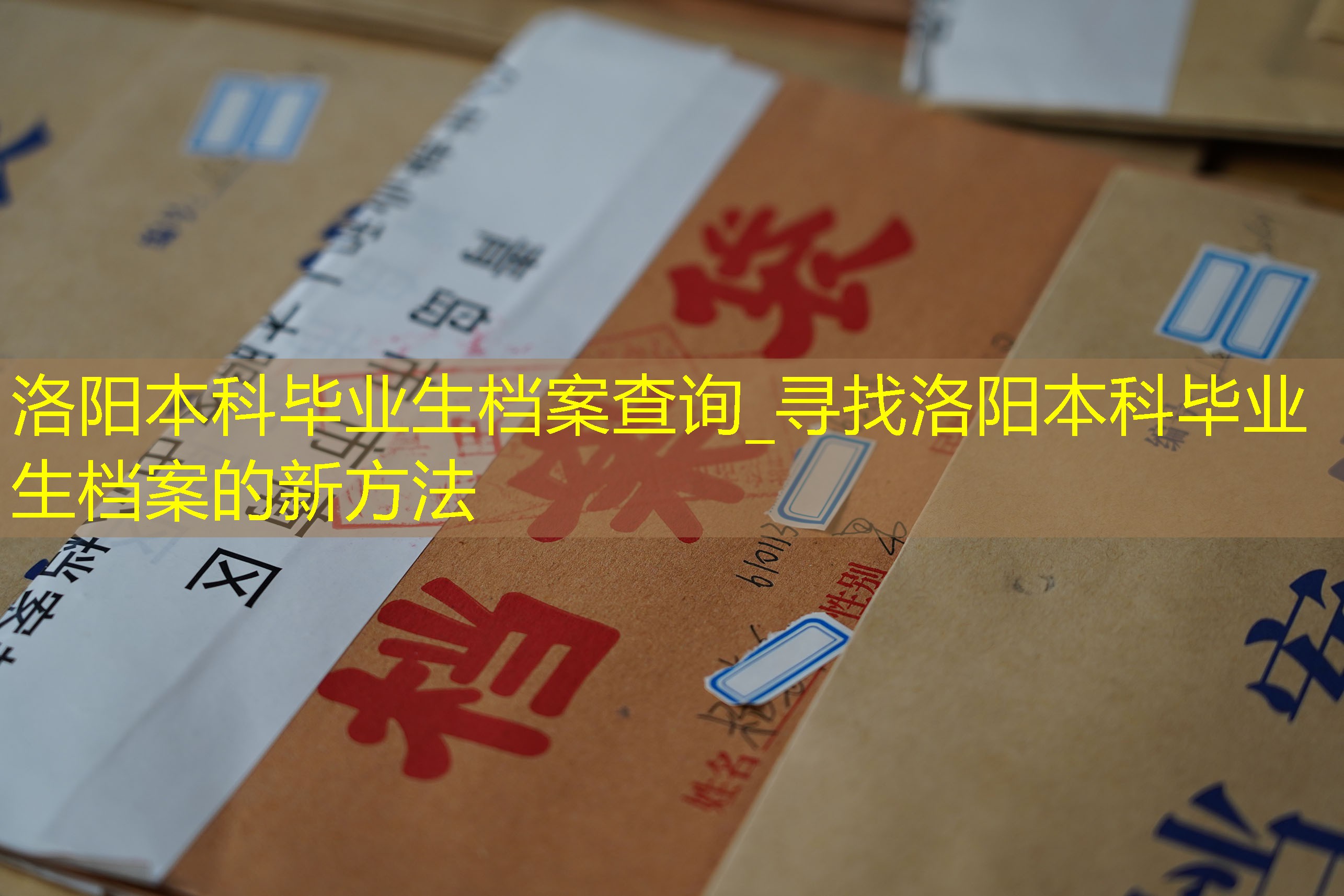 档案查询