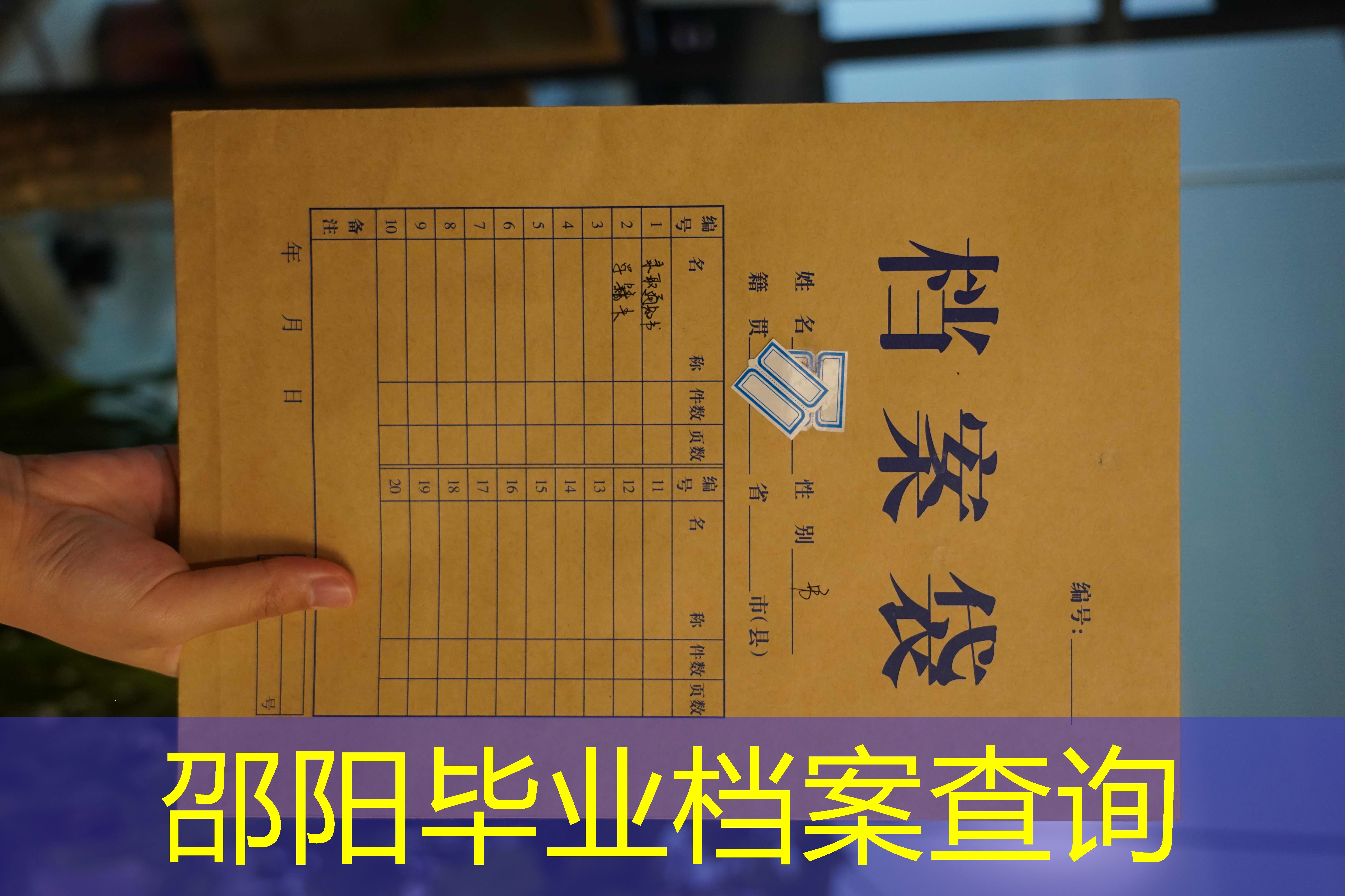档案查询