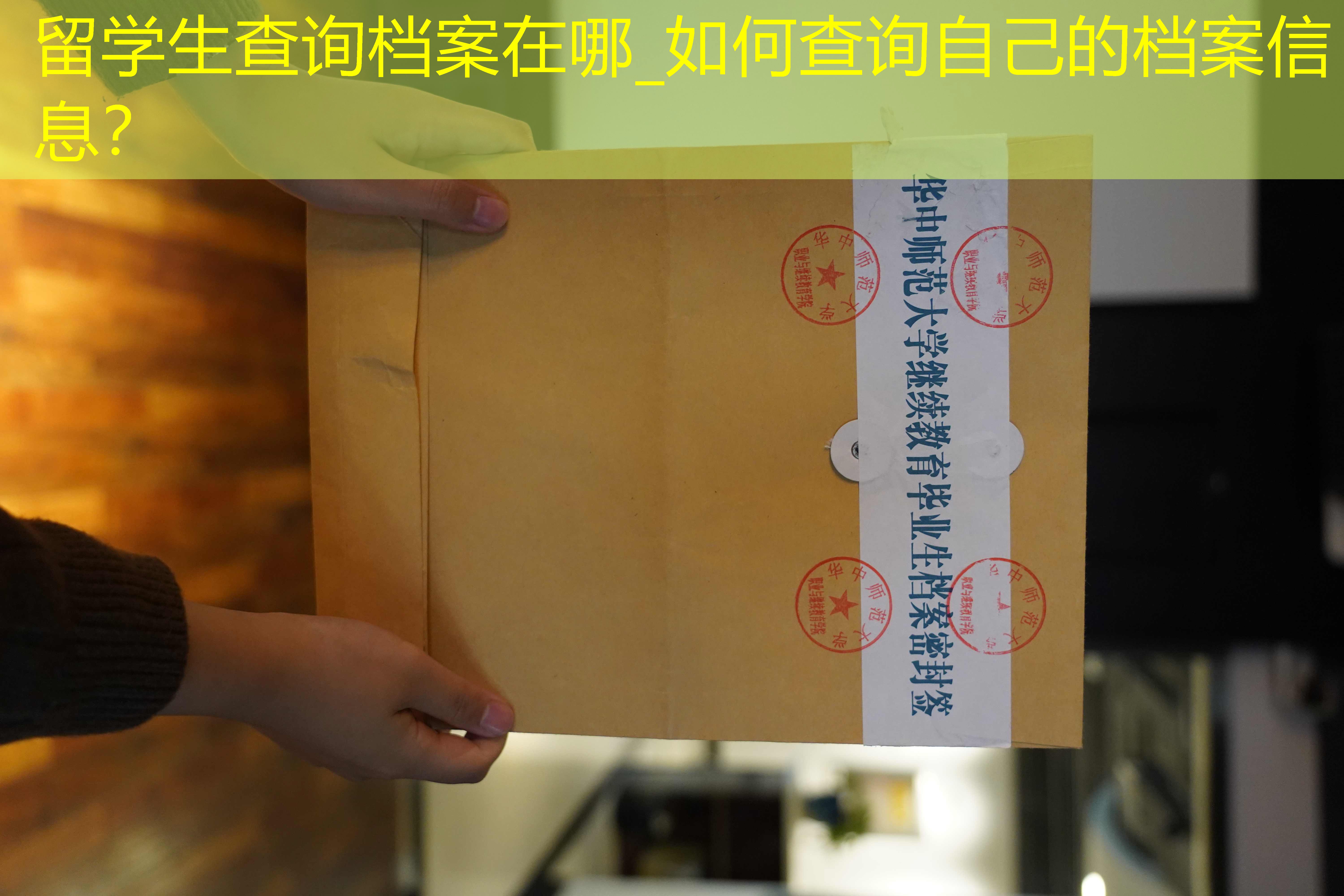 档案查询