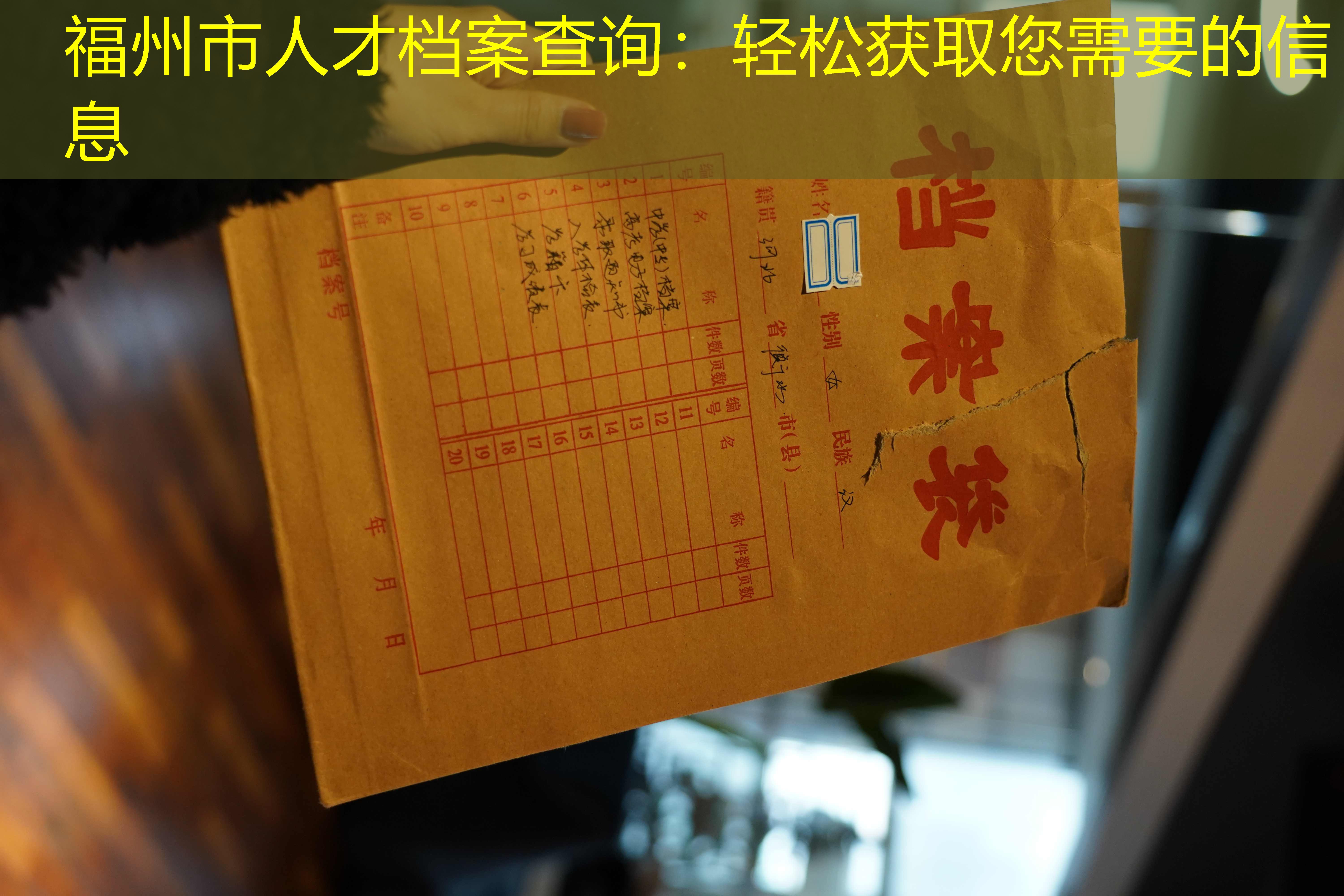 档案查询