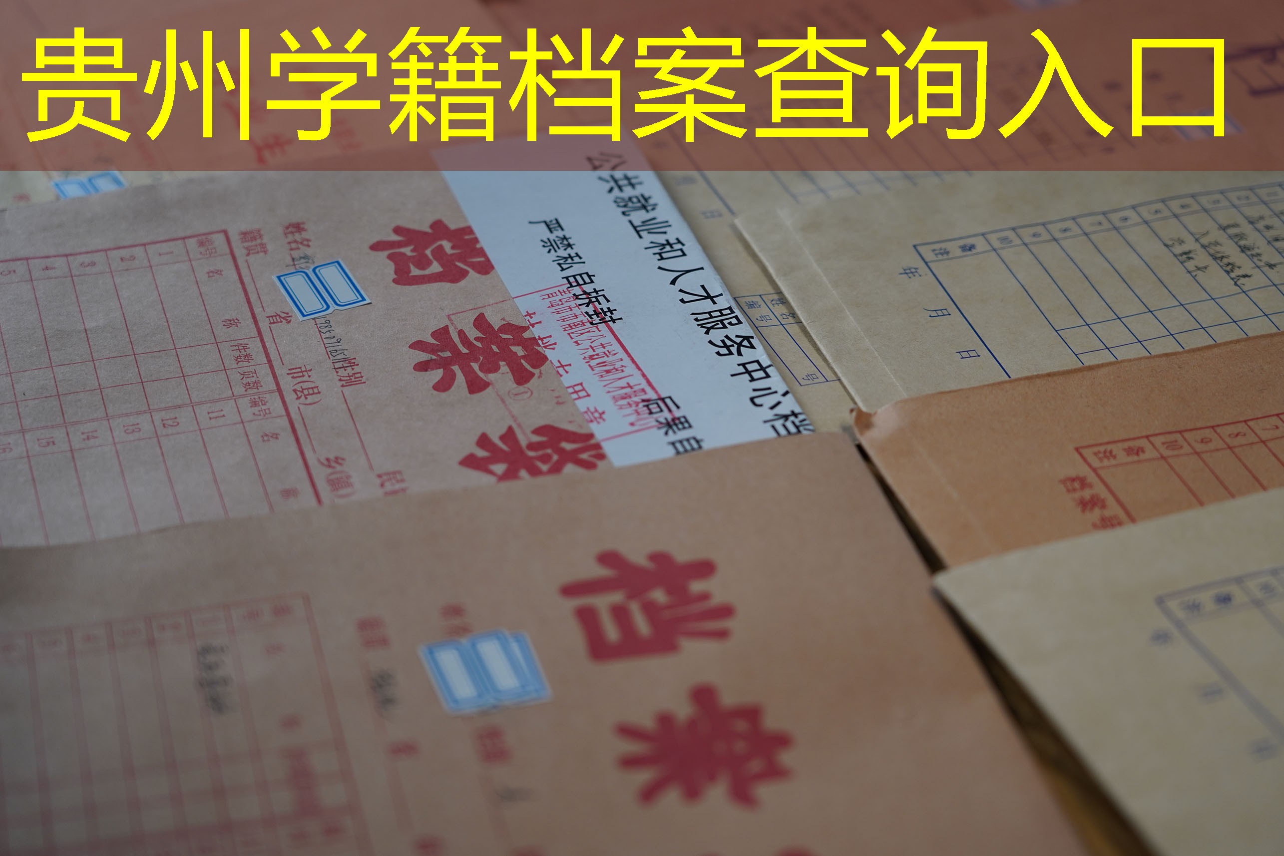档案查询