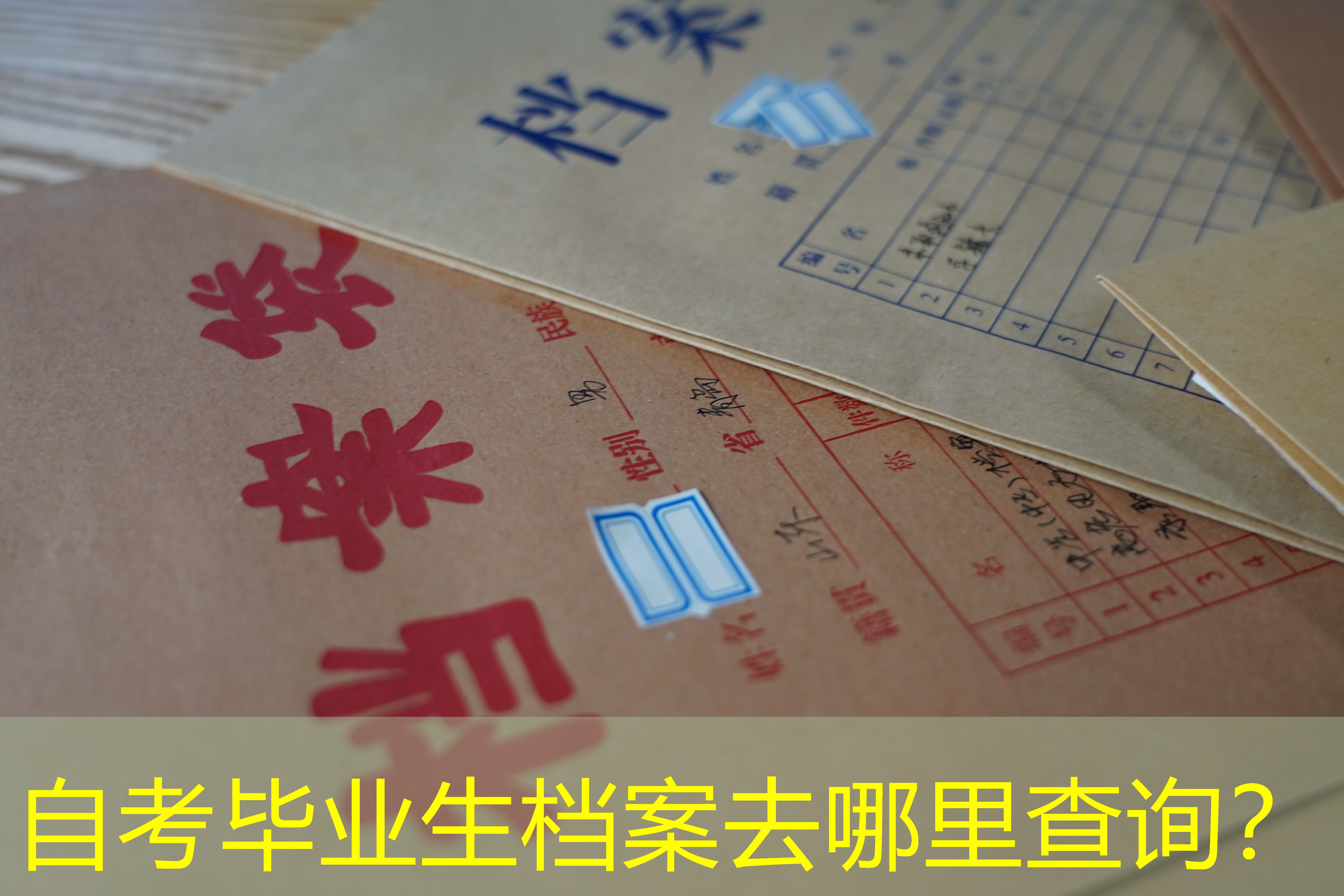 档案查询