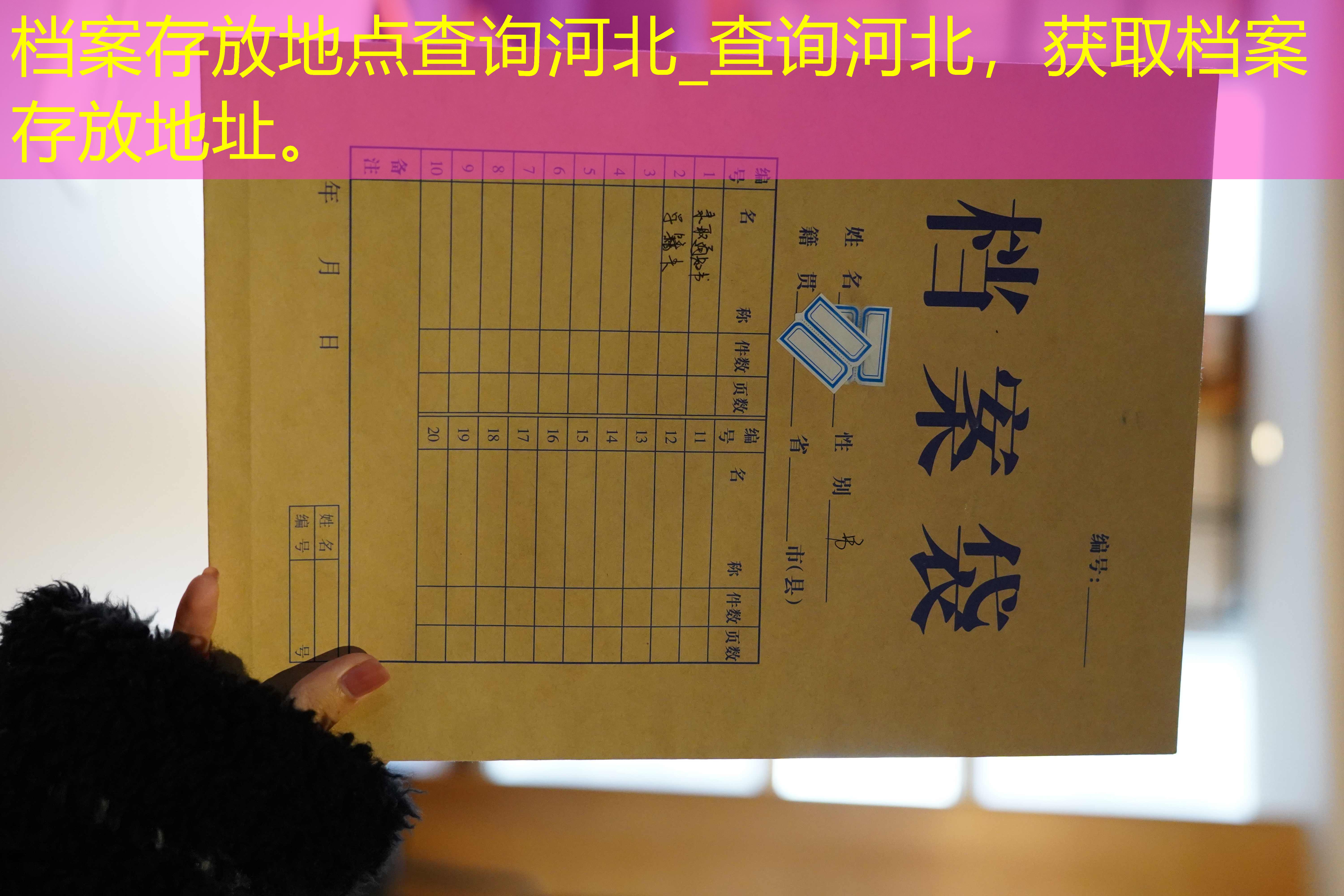 档案查询