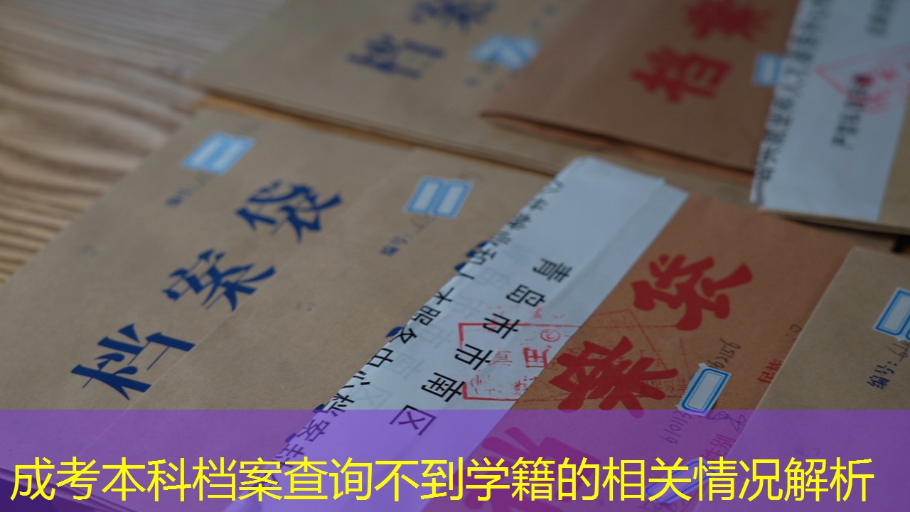 档案查询