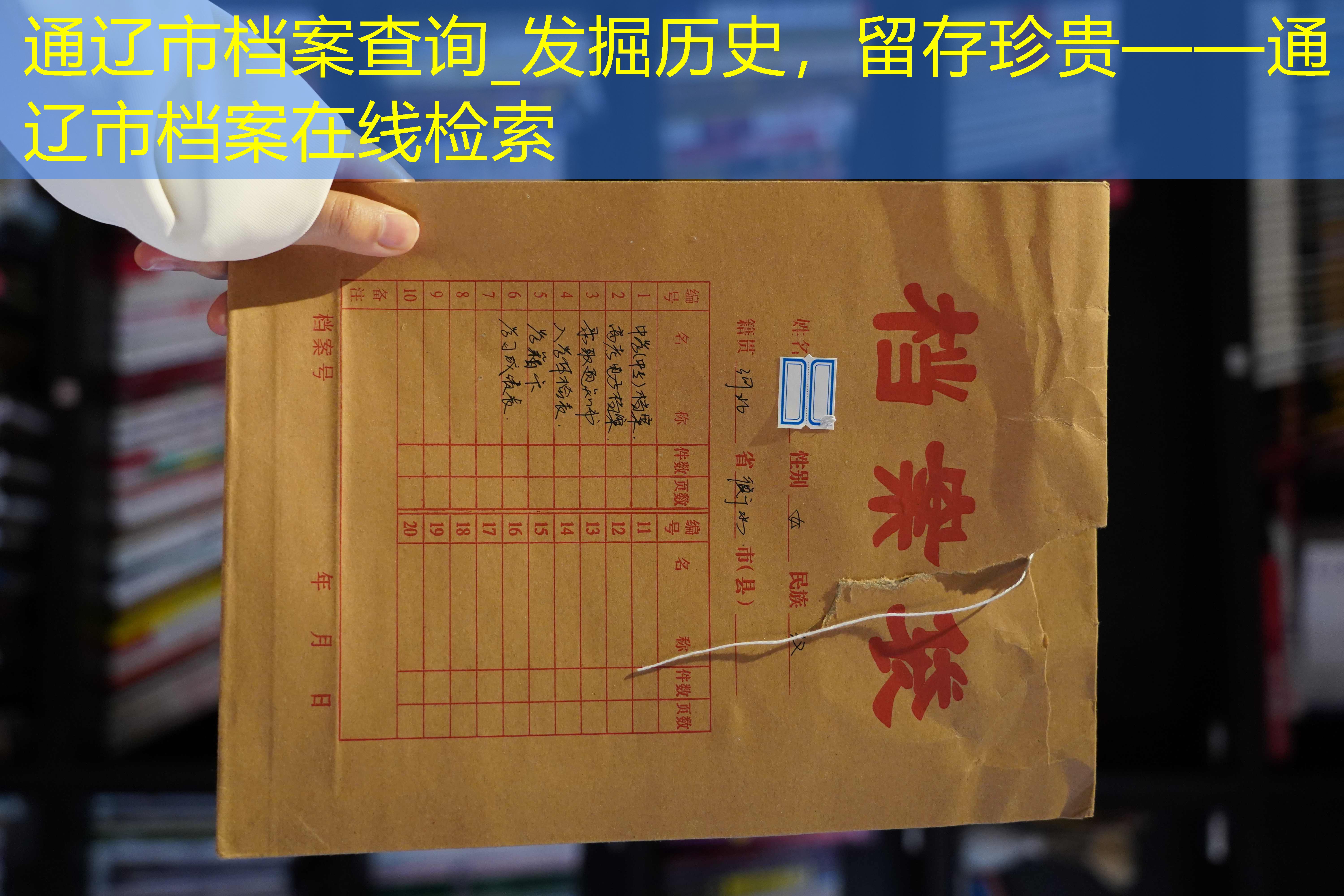 档案查询