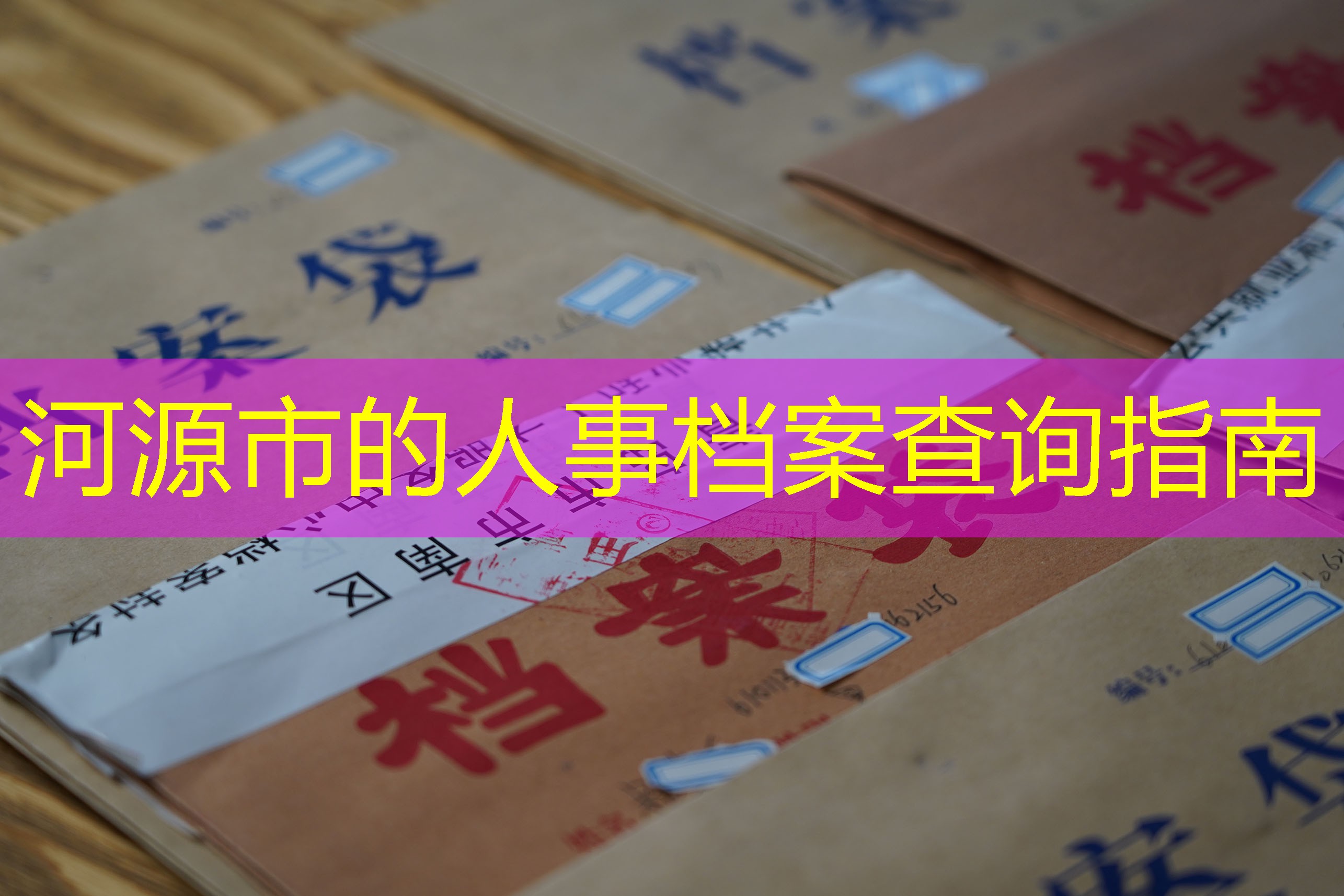 档案查询