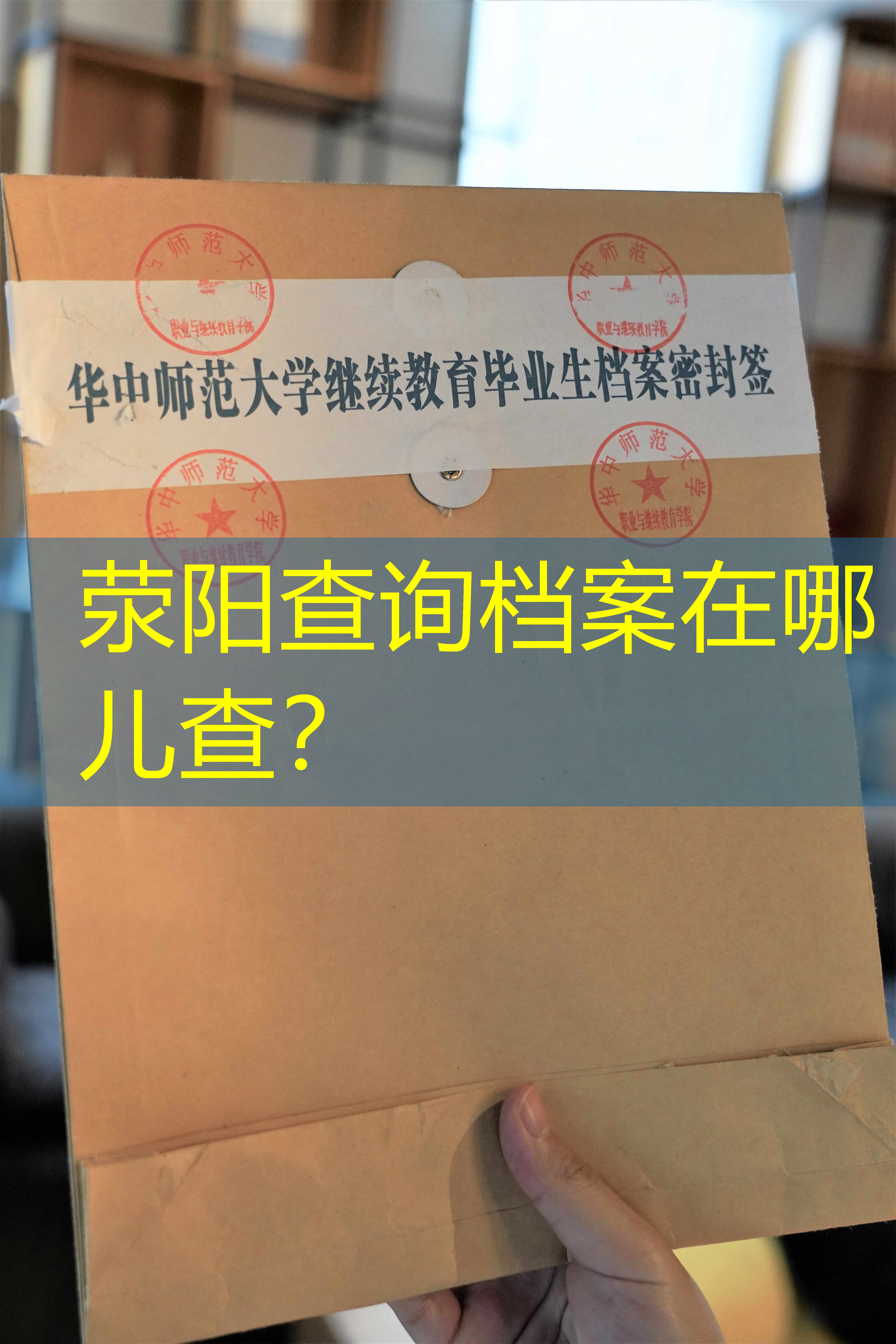 档案查询