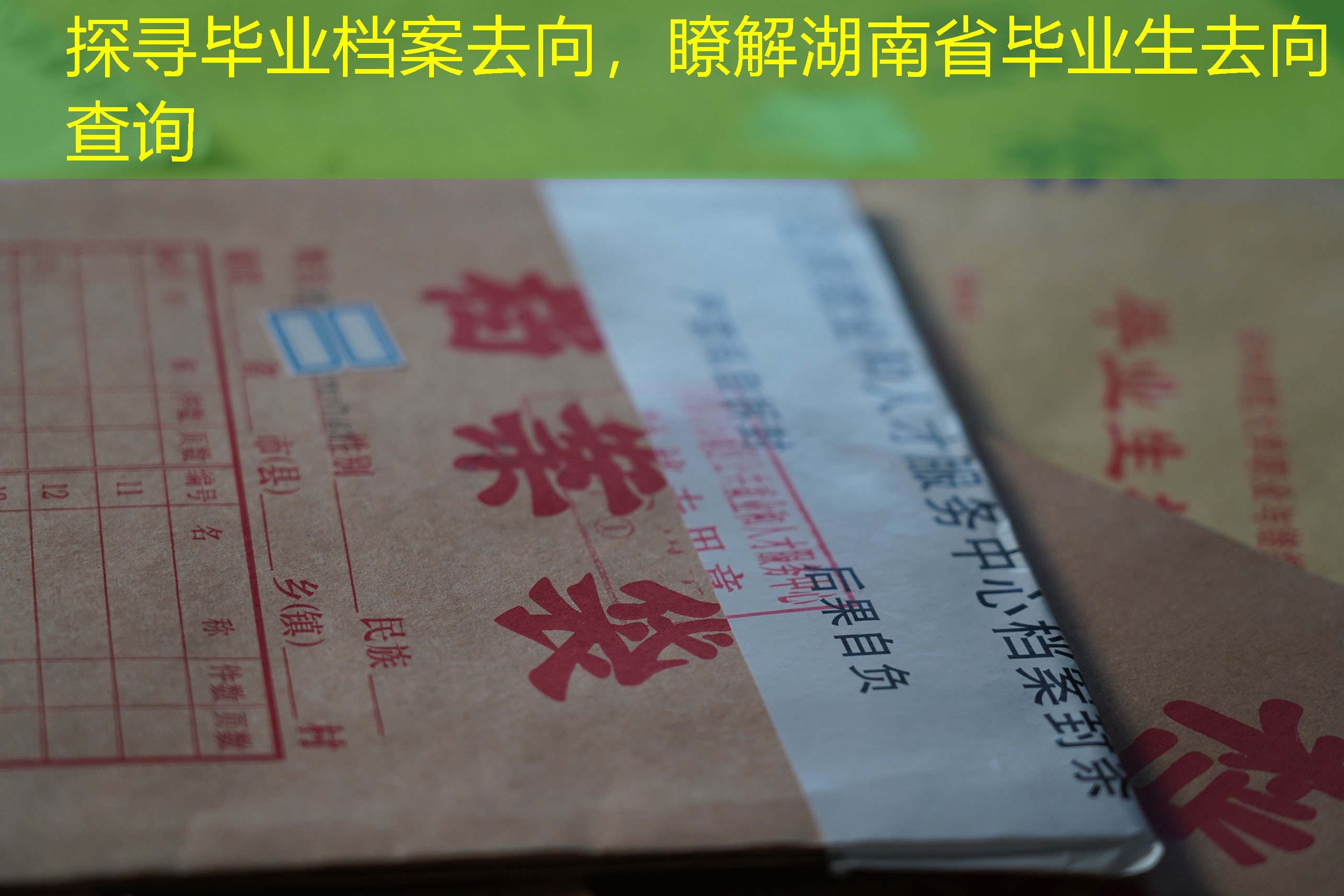 档案查询