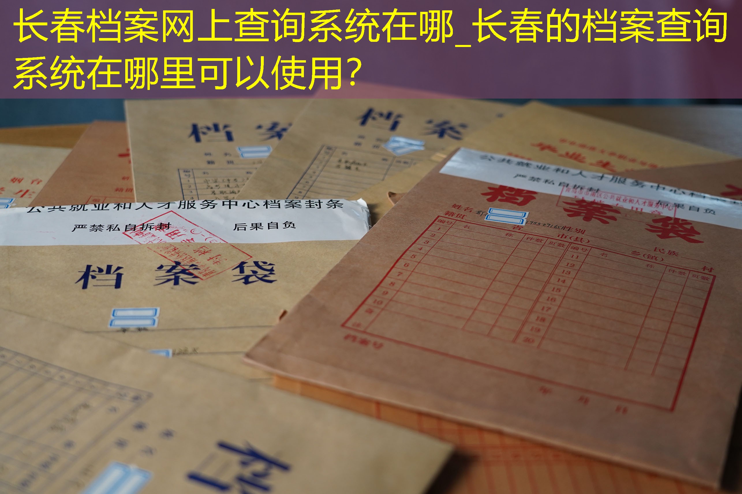 档案查询