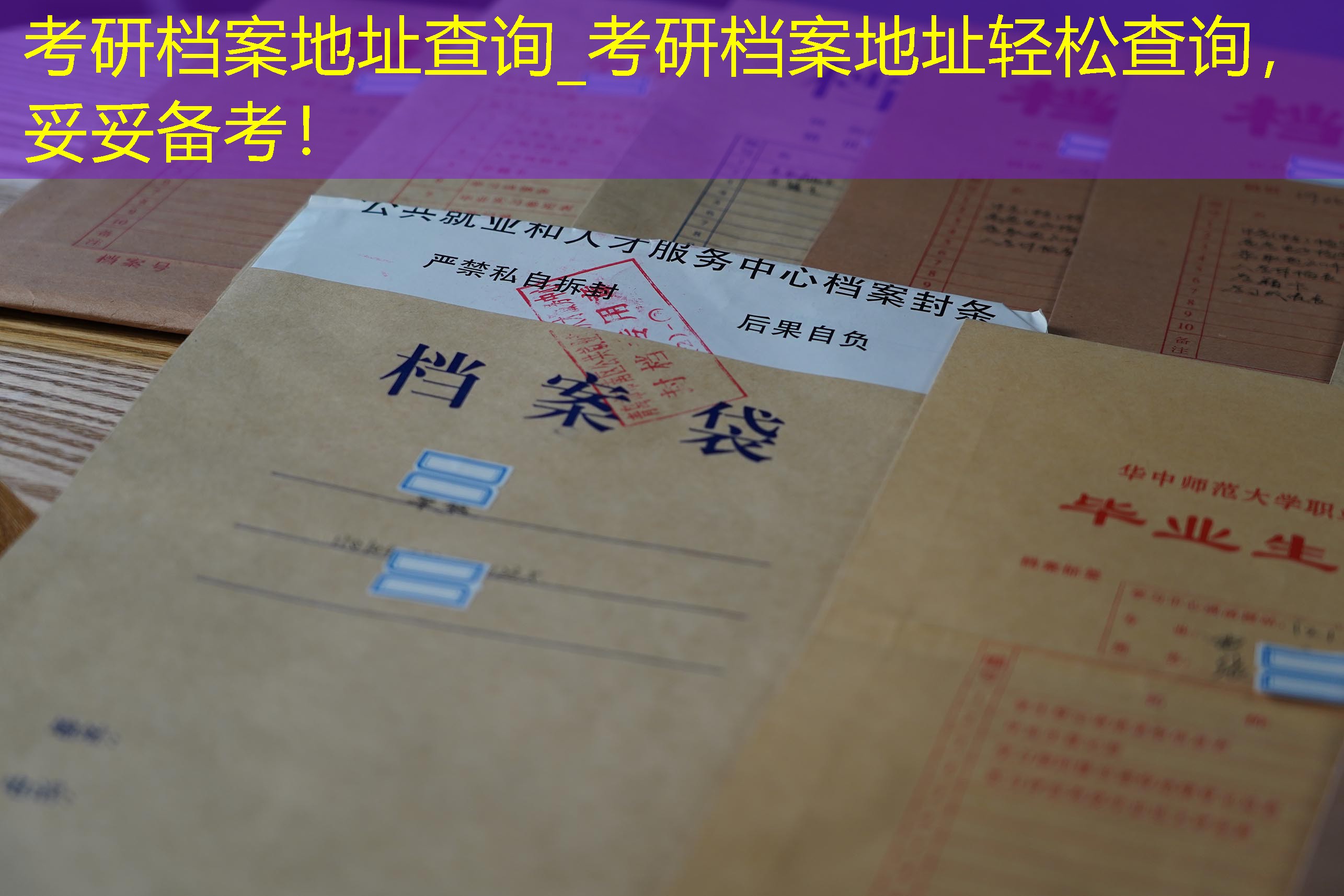 档案查询
