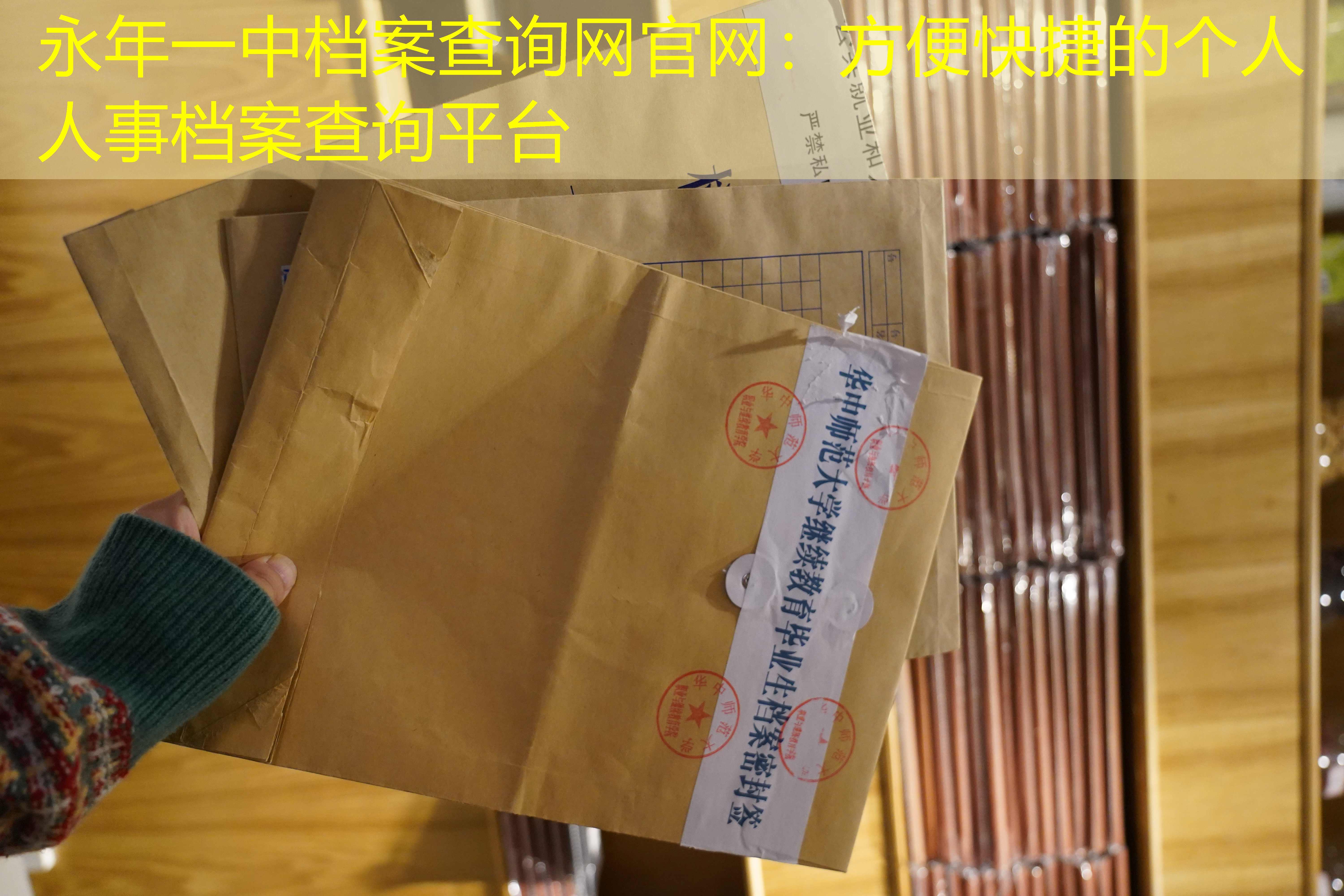 档案查询