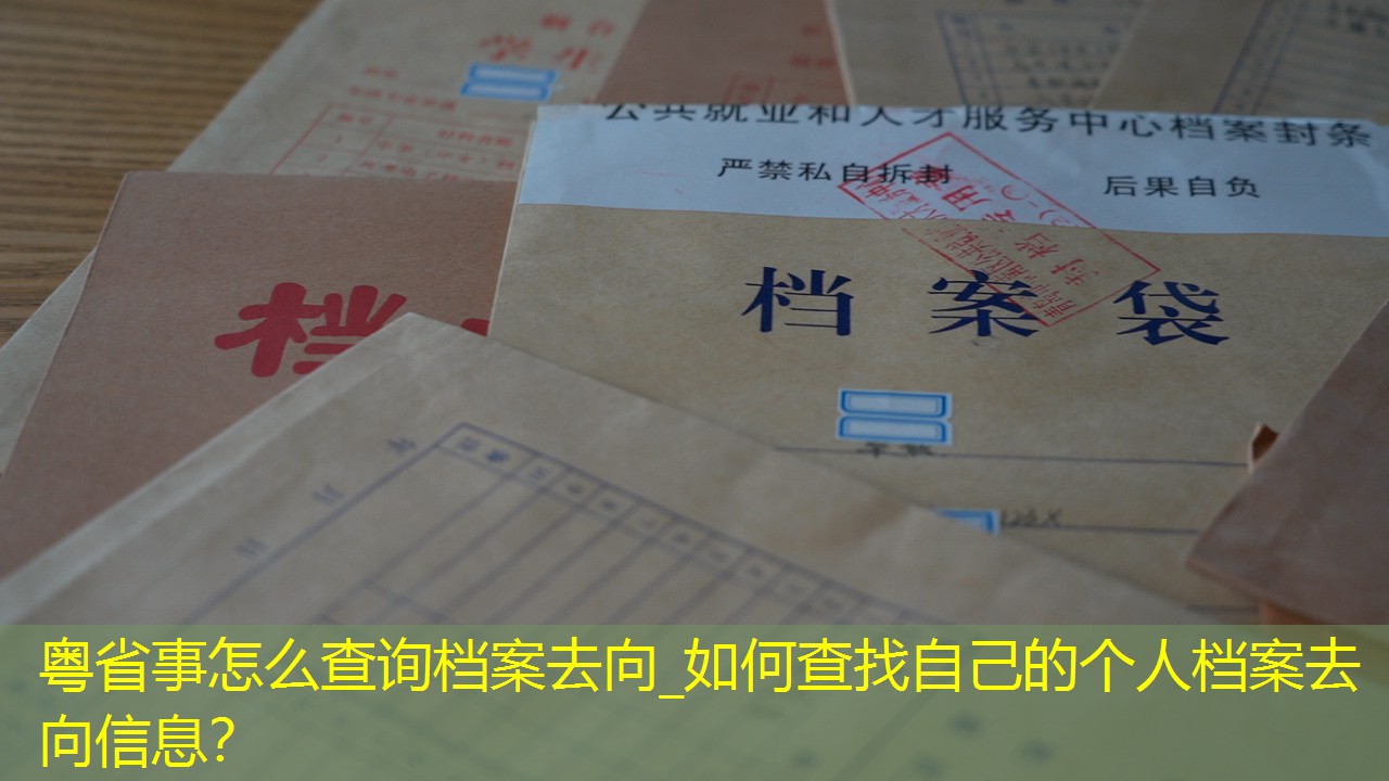 档案查询