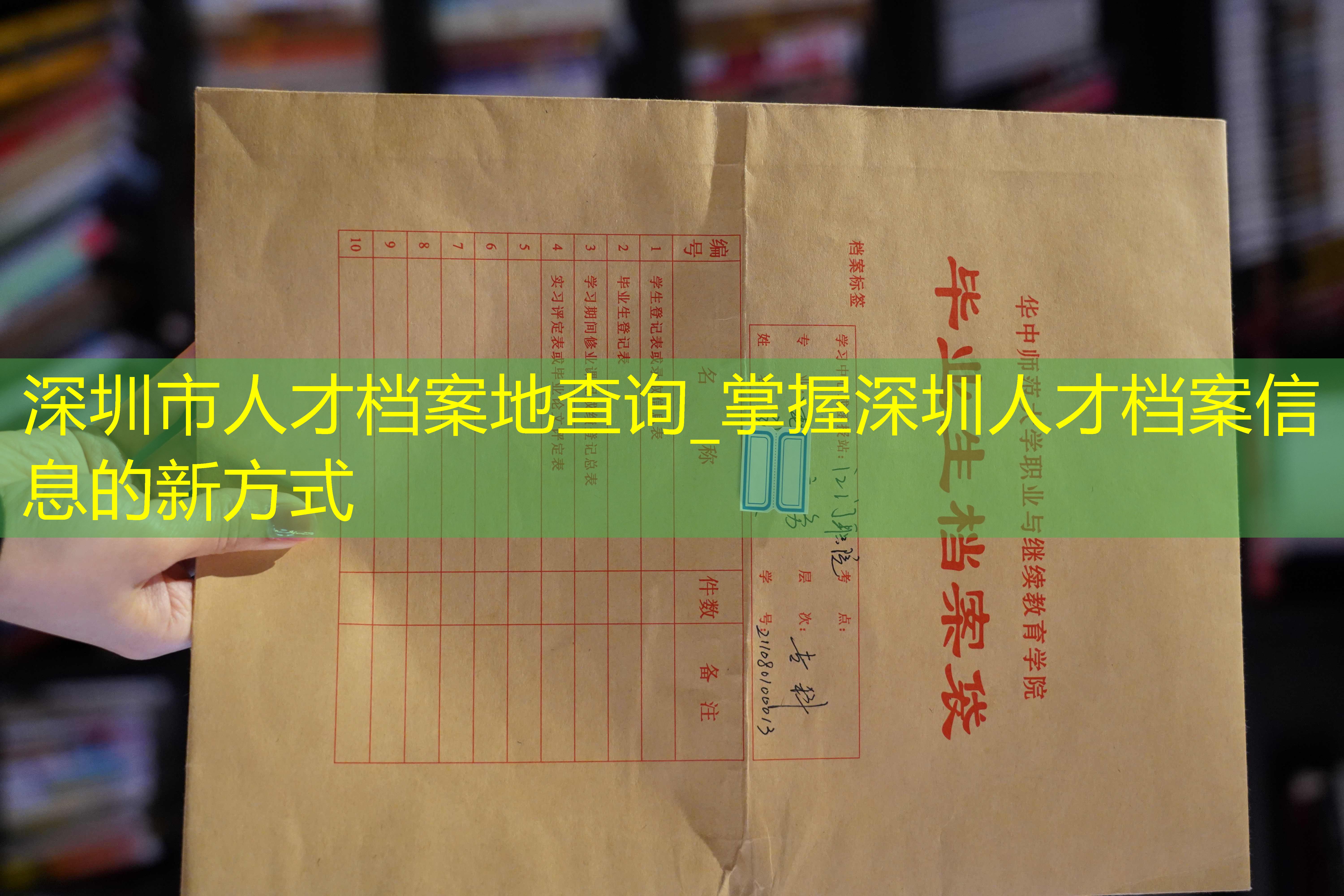 档案查询