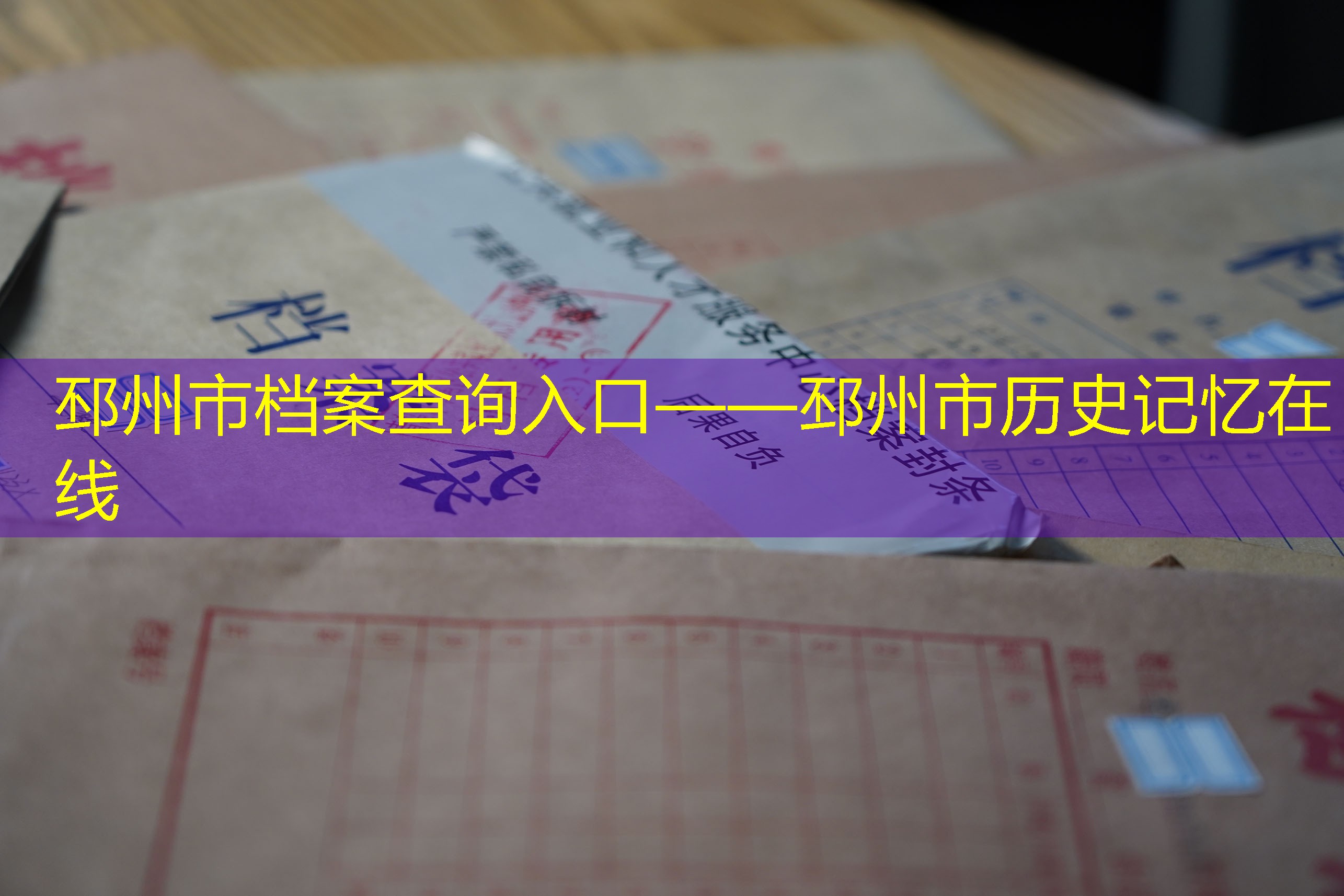 档案查询