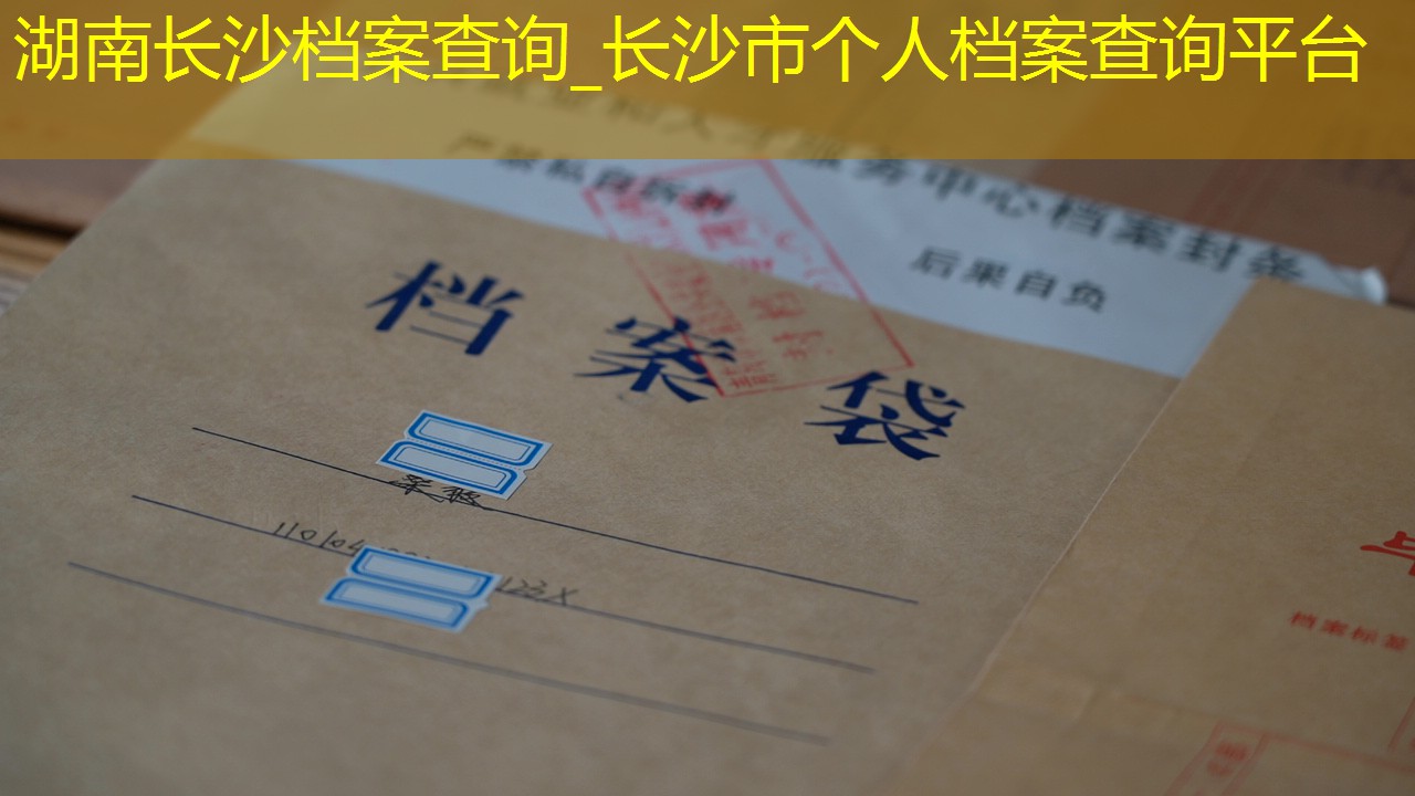 档案查询