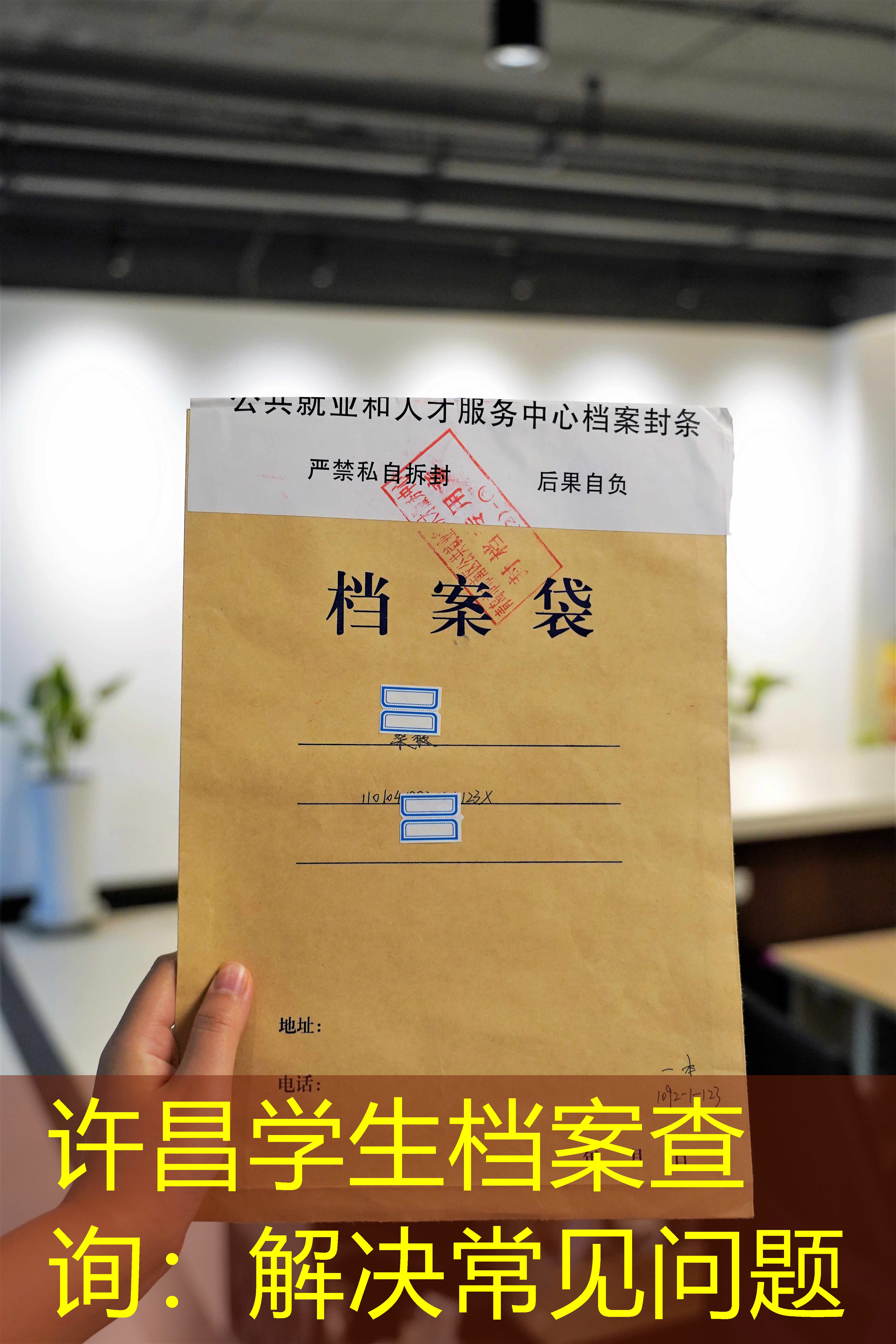 档案查询