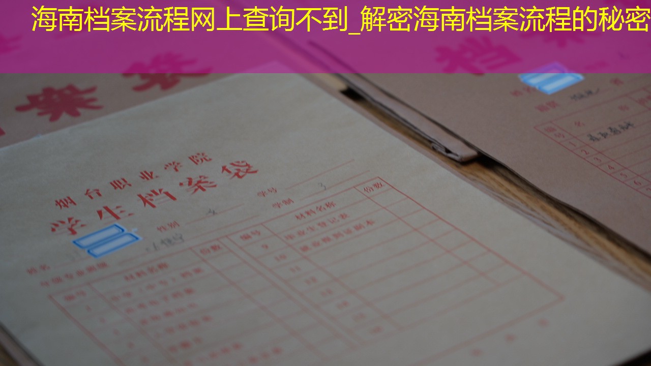 档案查询