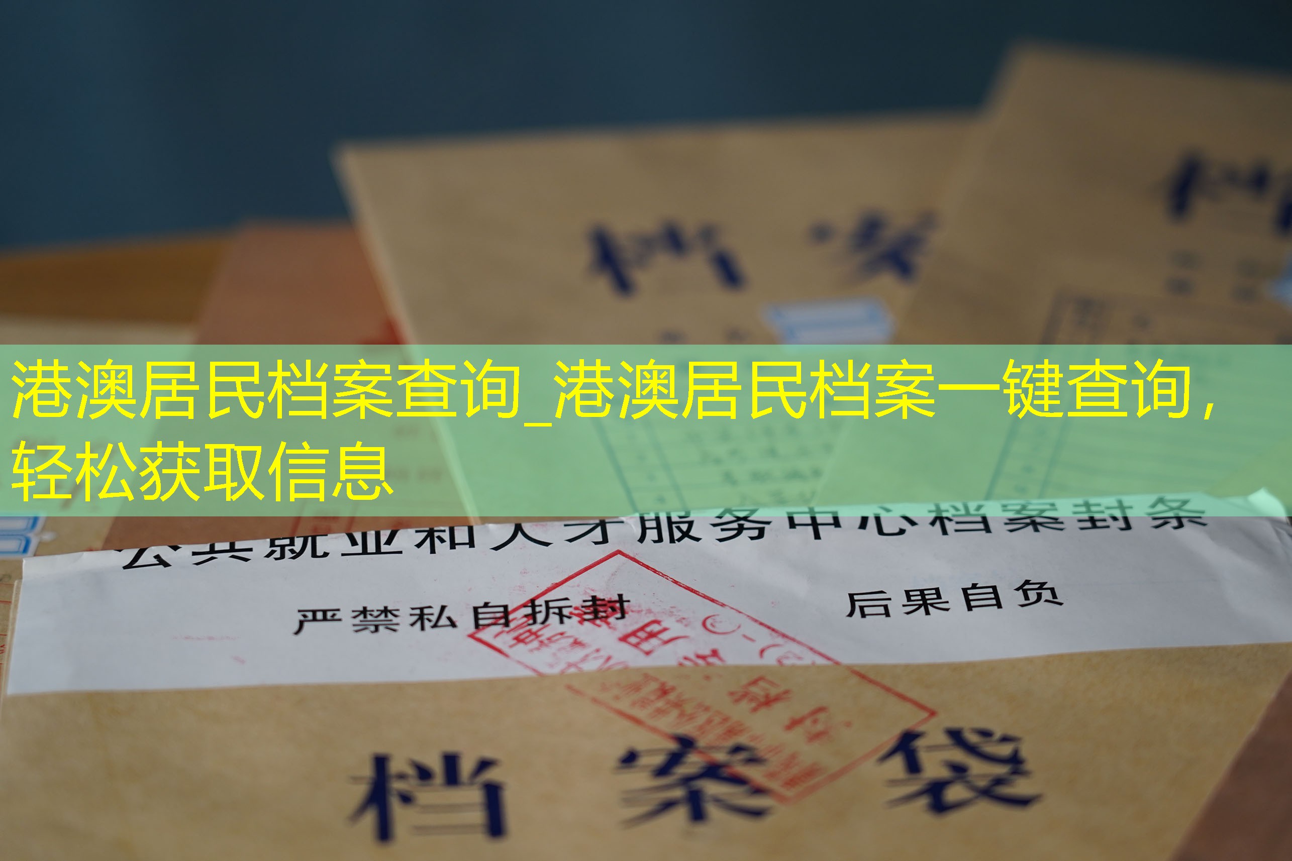 档案查询