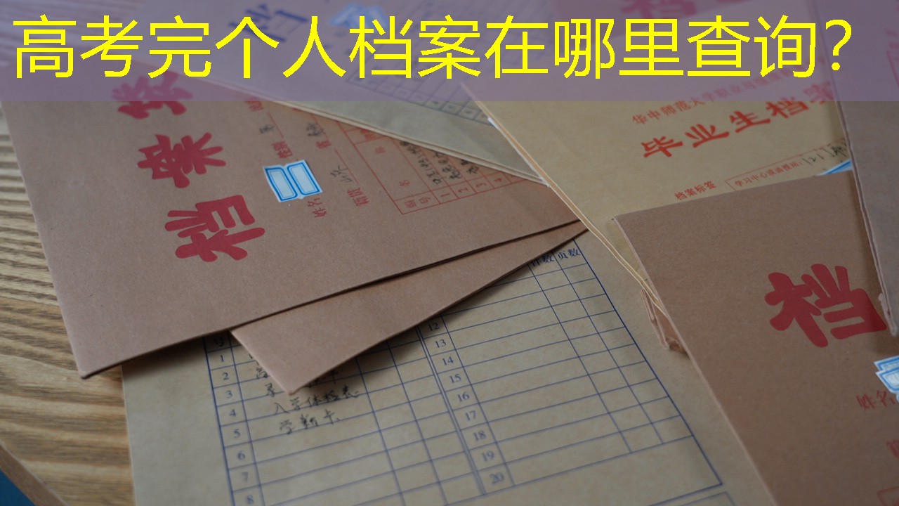 档案查询