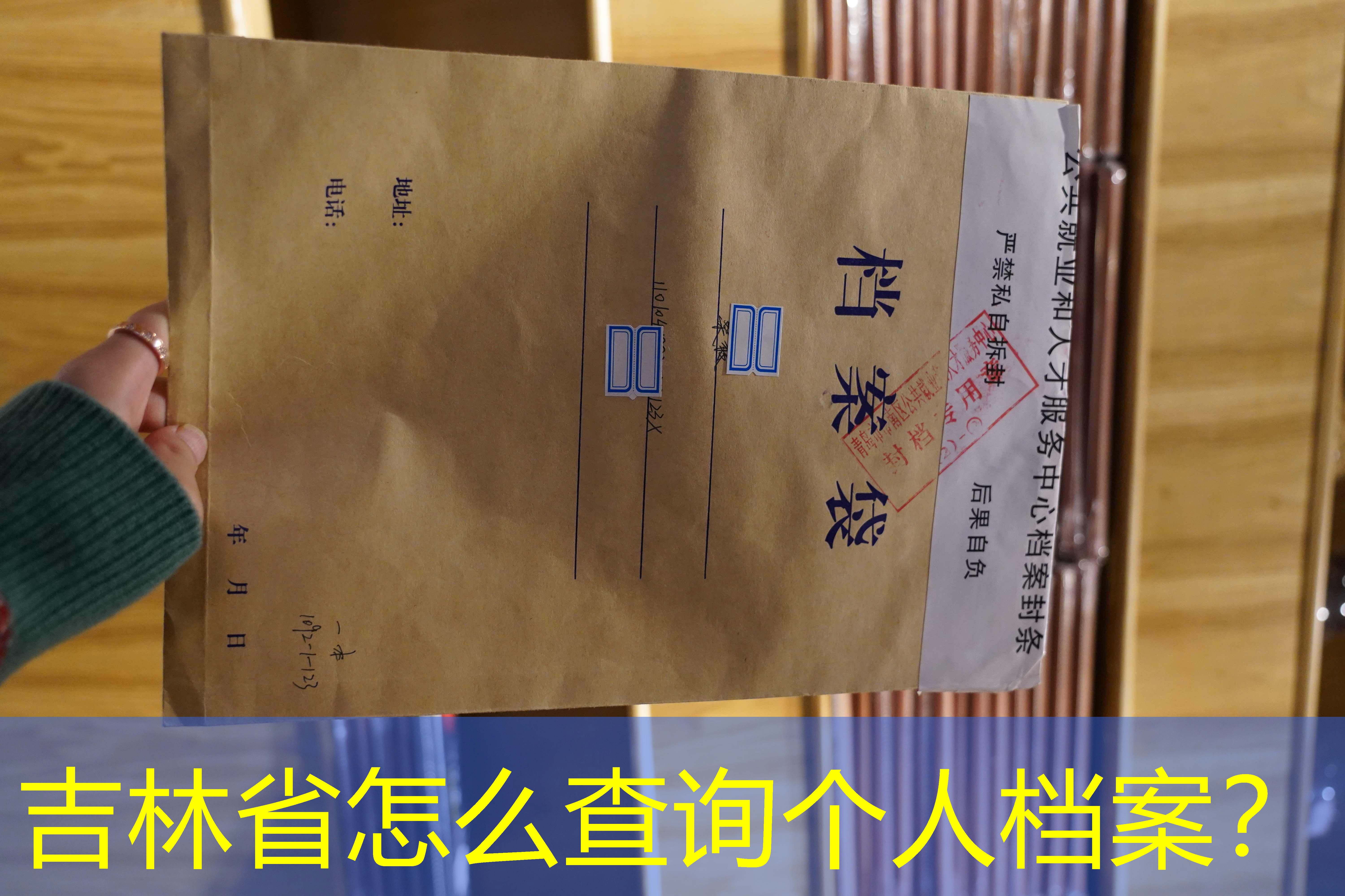 档案查询