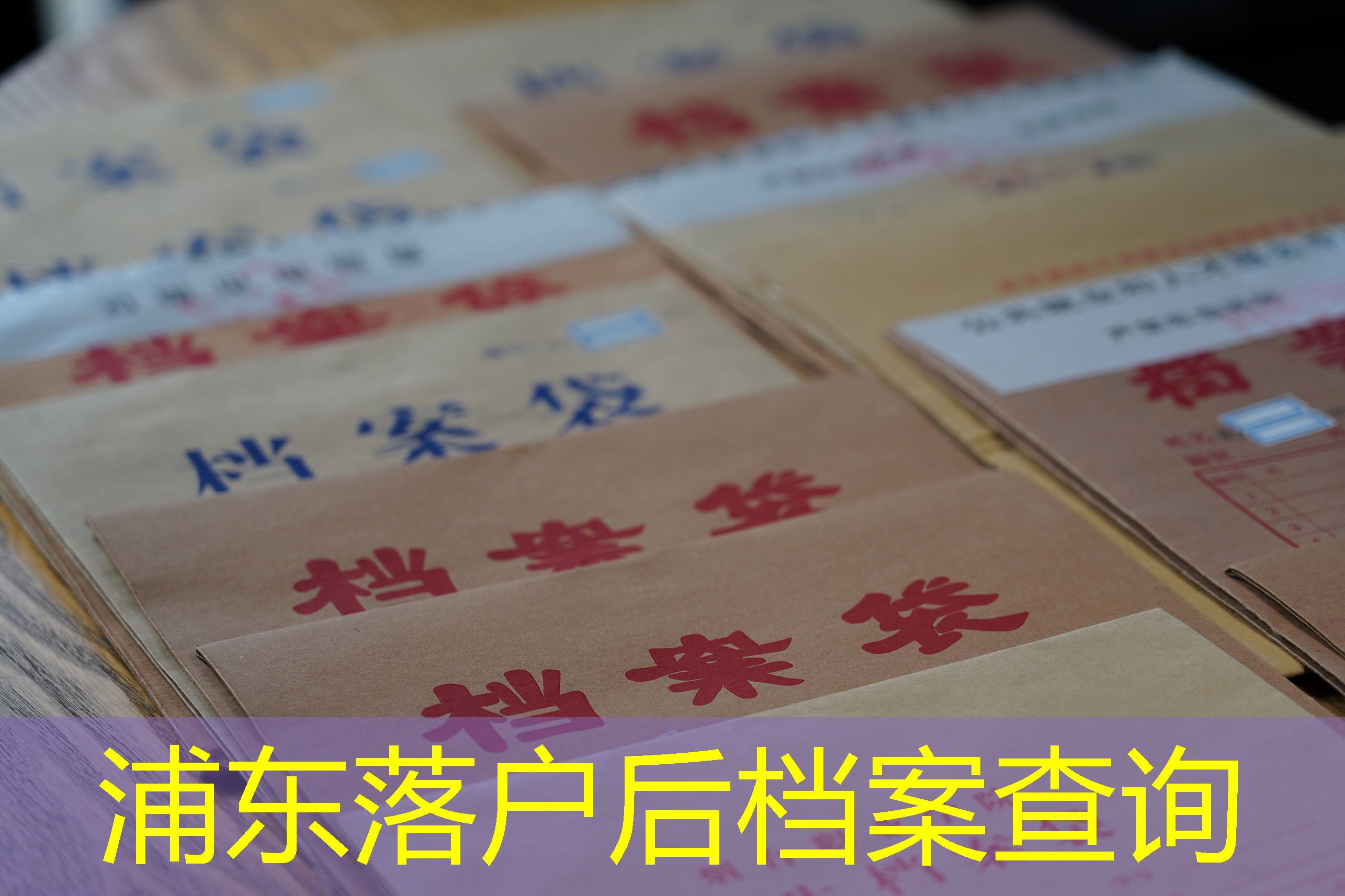 档案查询