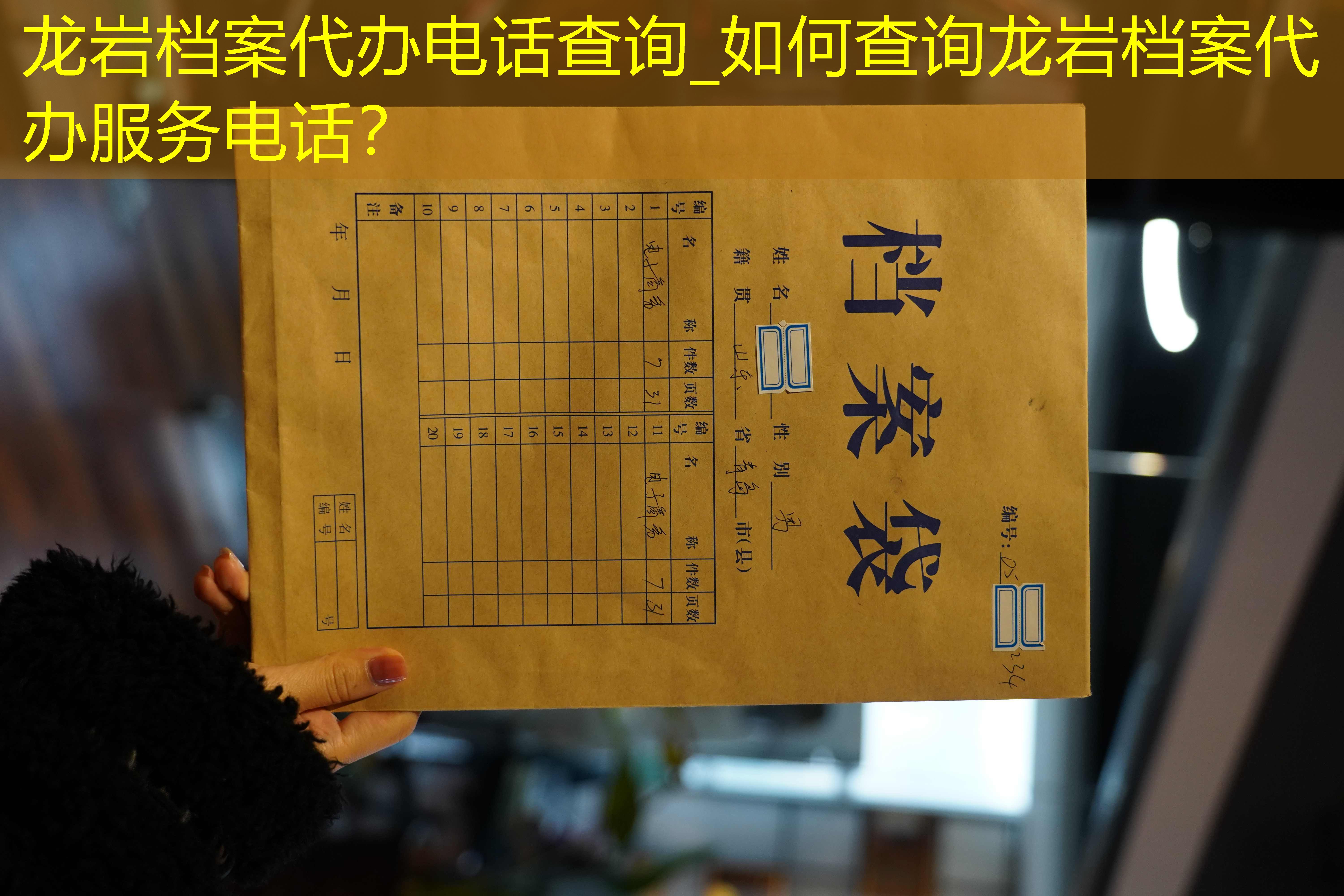 档案查询