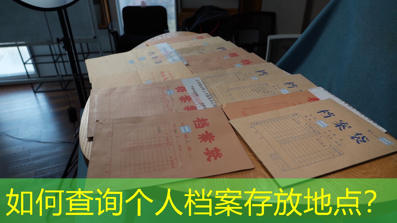 档案查询
