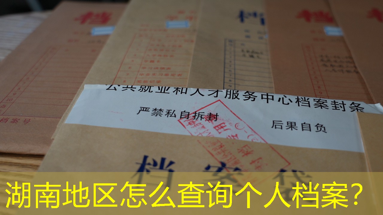 档案查询