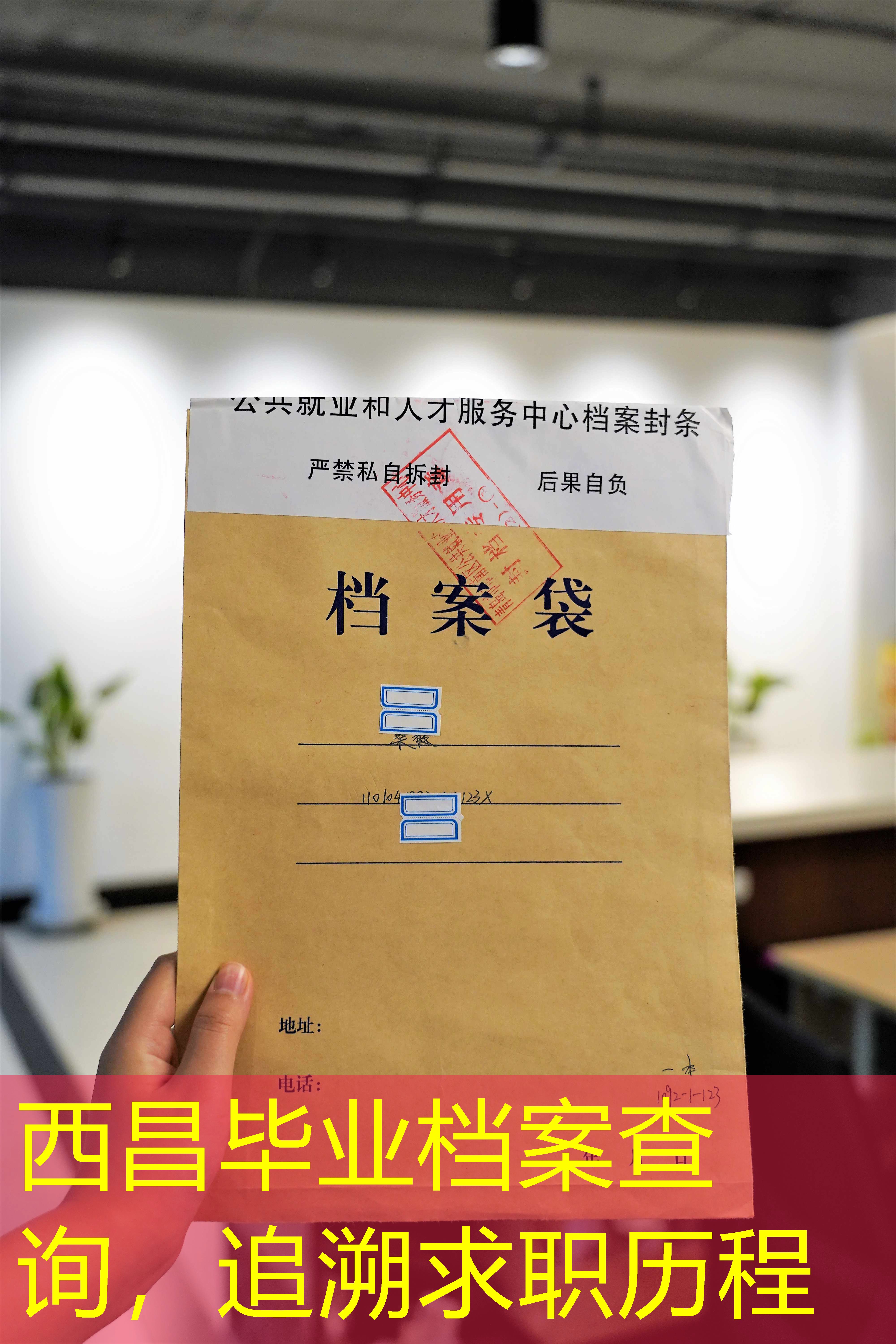 档案查询