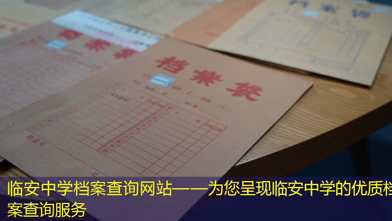 档案查询