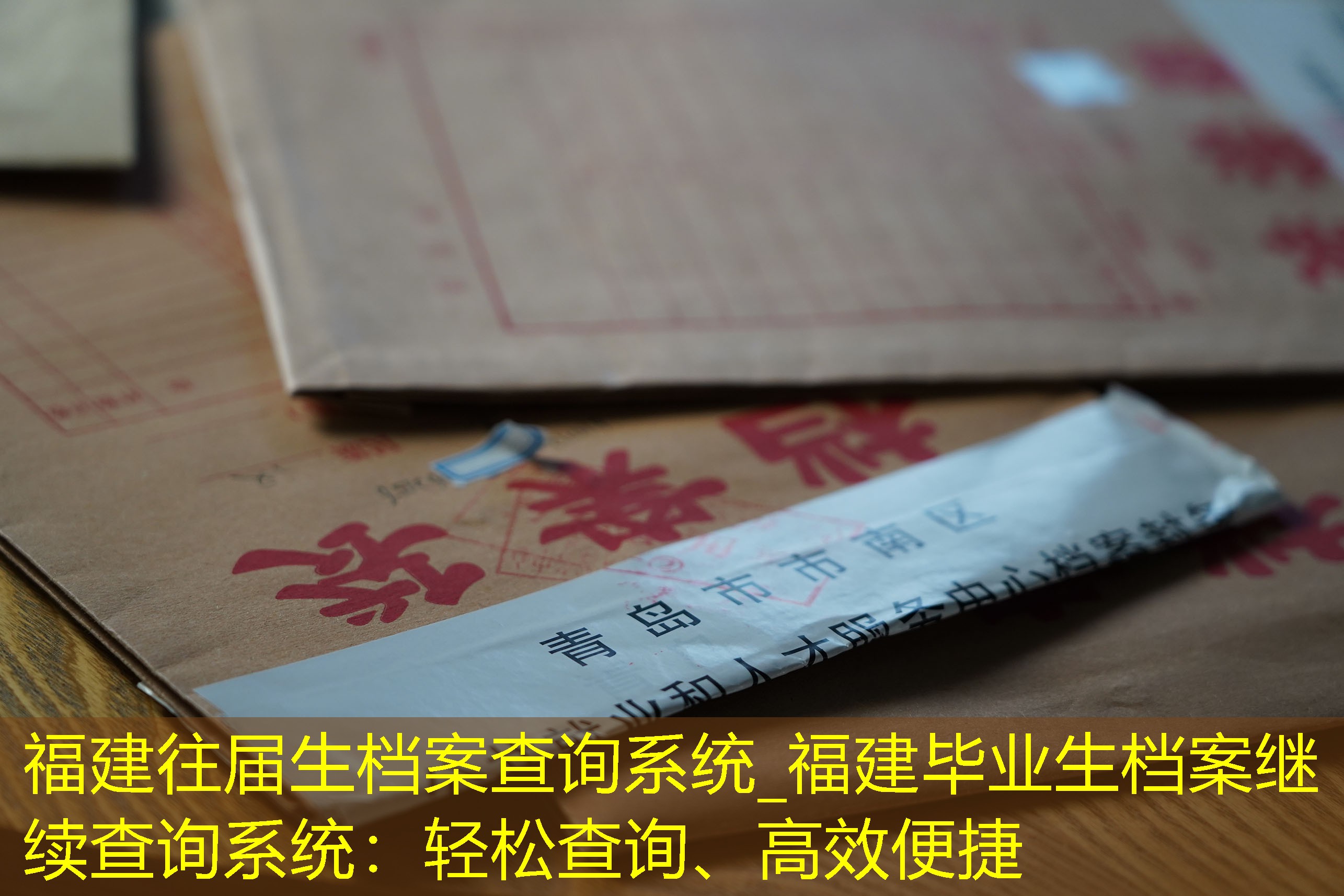 档案查询