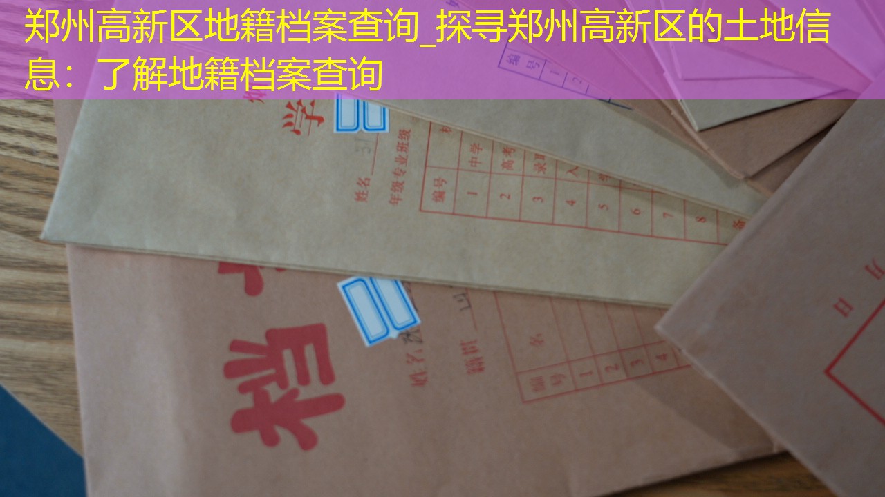 档案查询