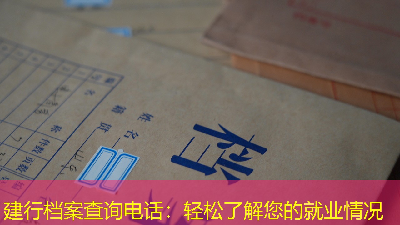档案查询