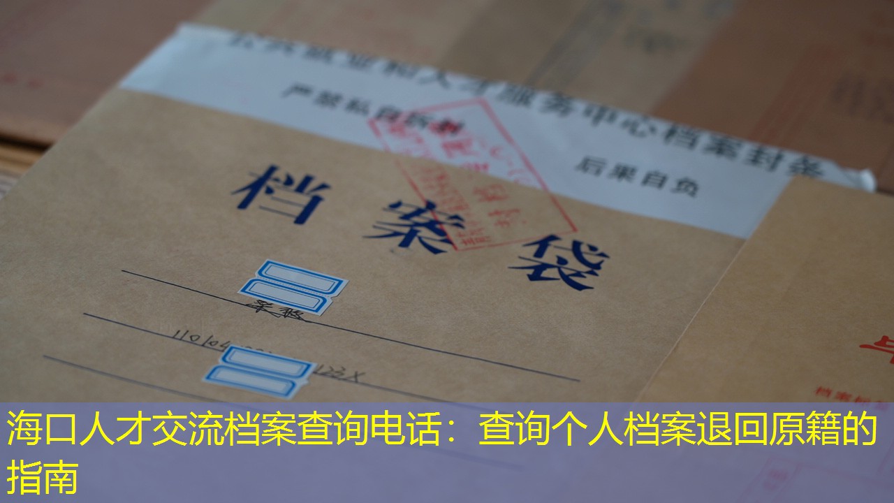 档案查询