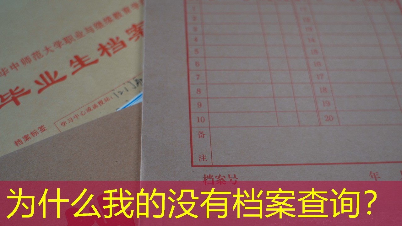 档案查询