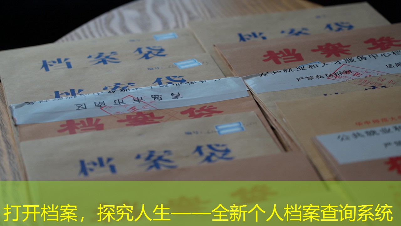 档案查询