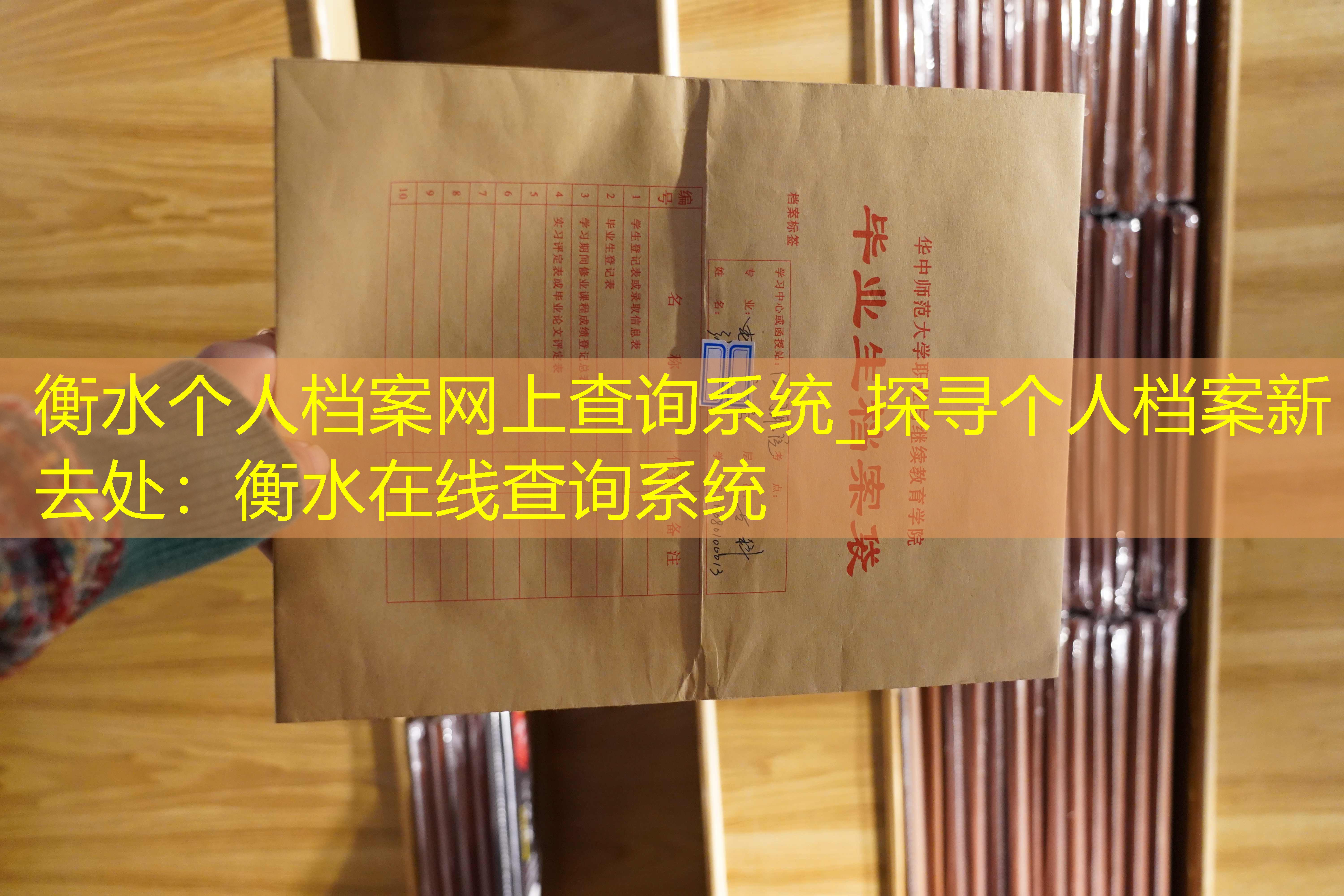 档案查询
