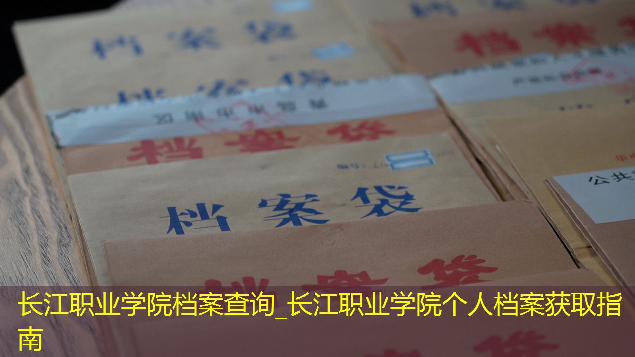 档案查询