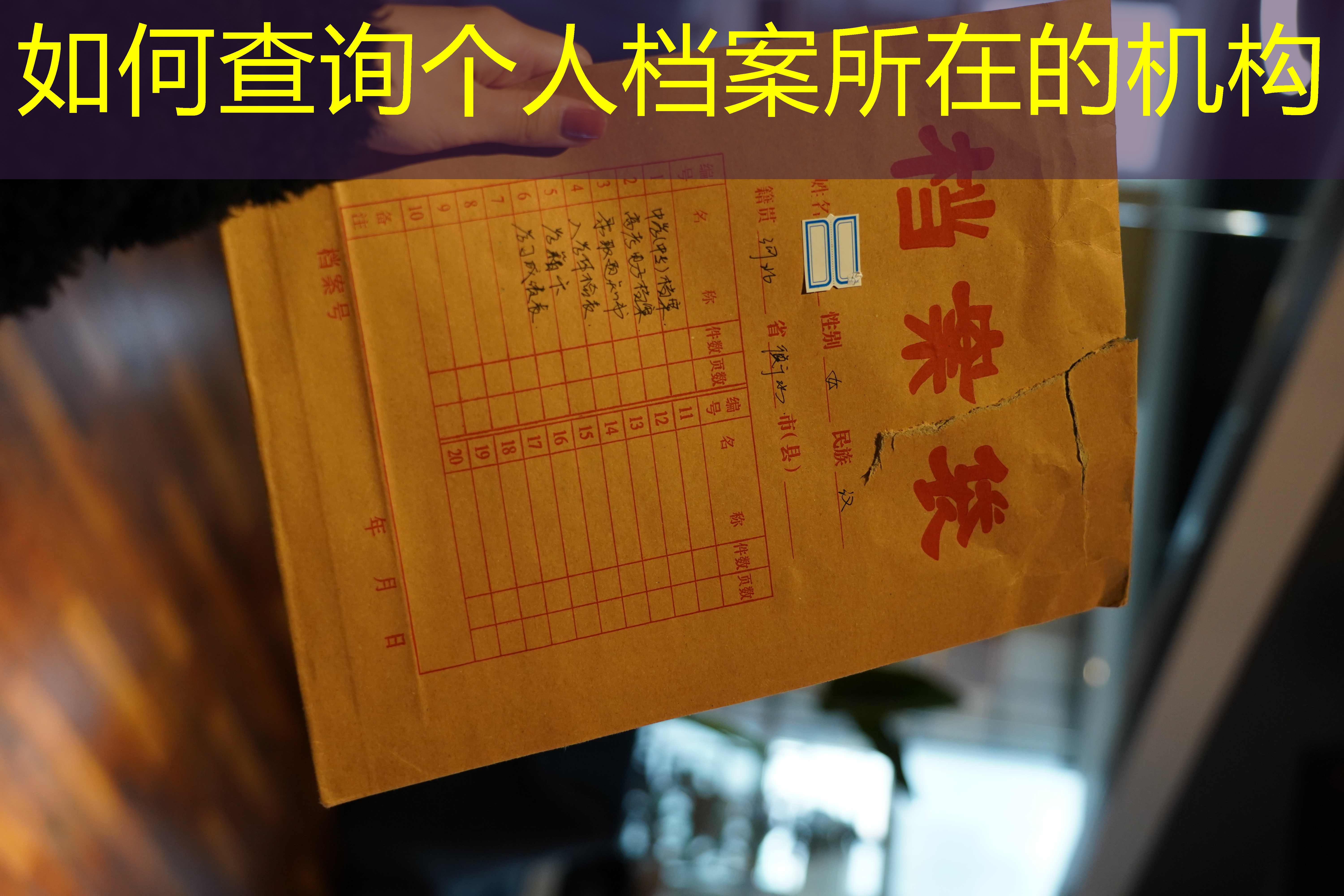 档案查询