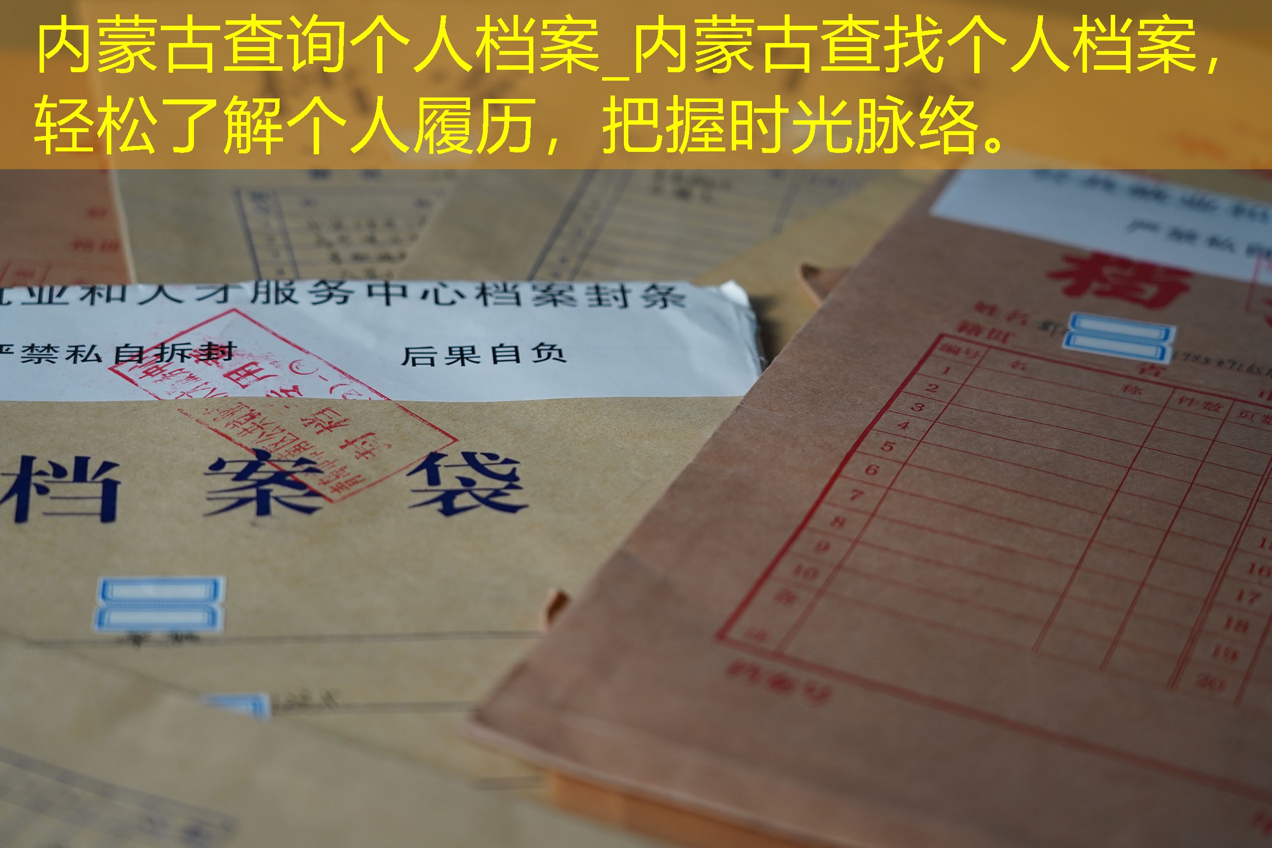档案查询