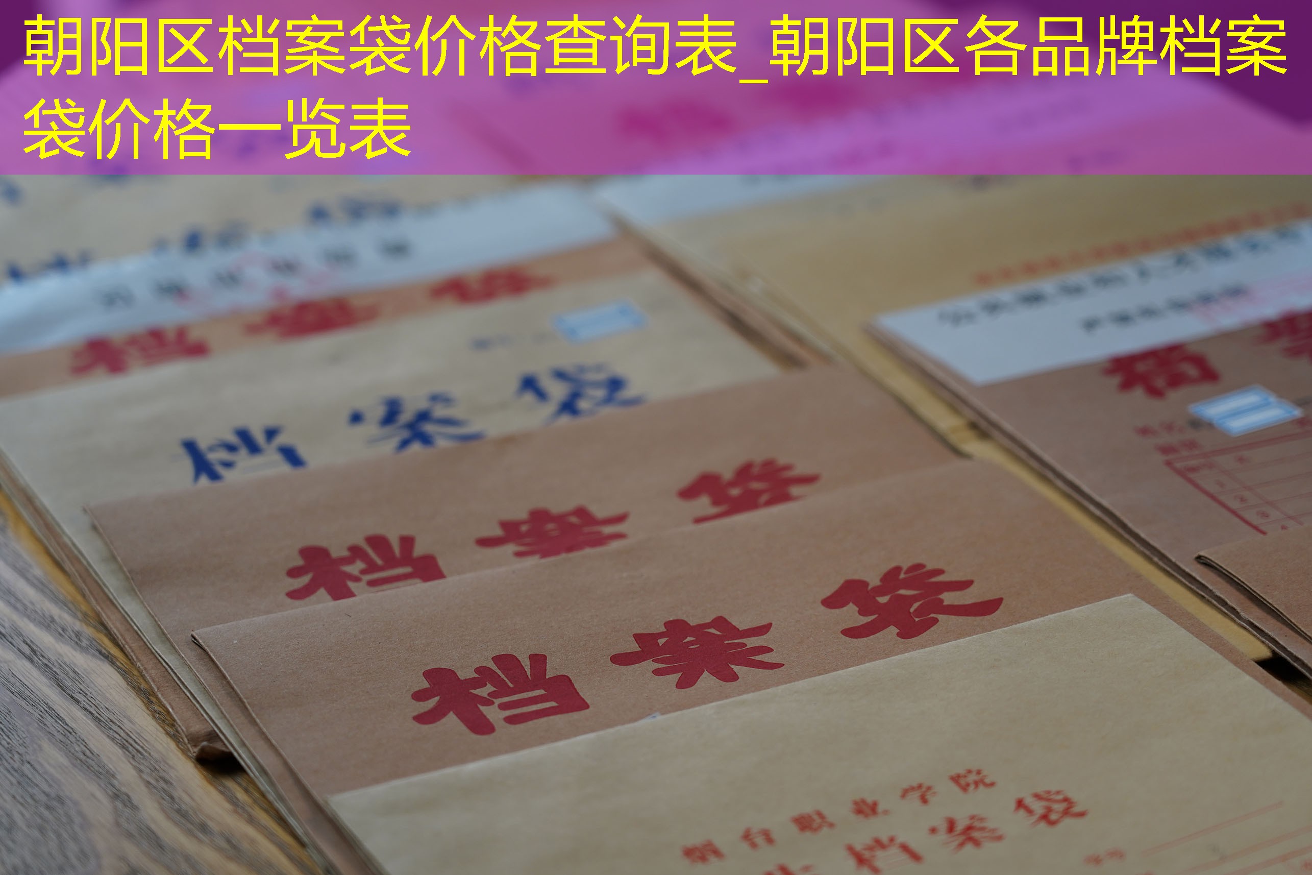 档案查询