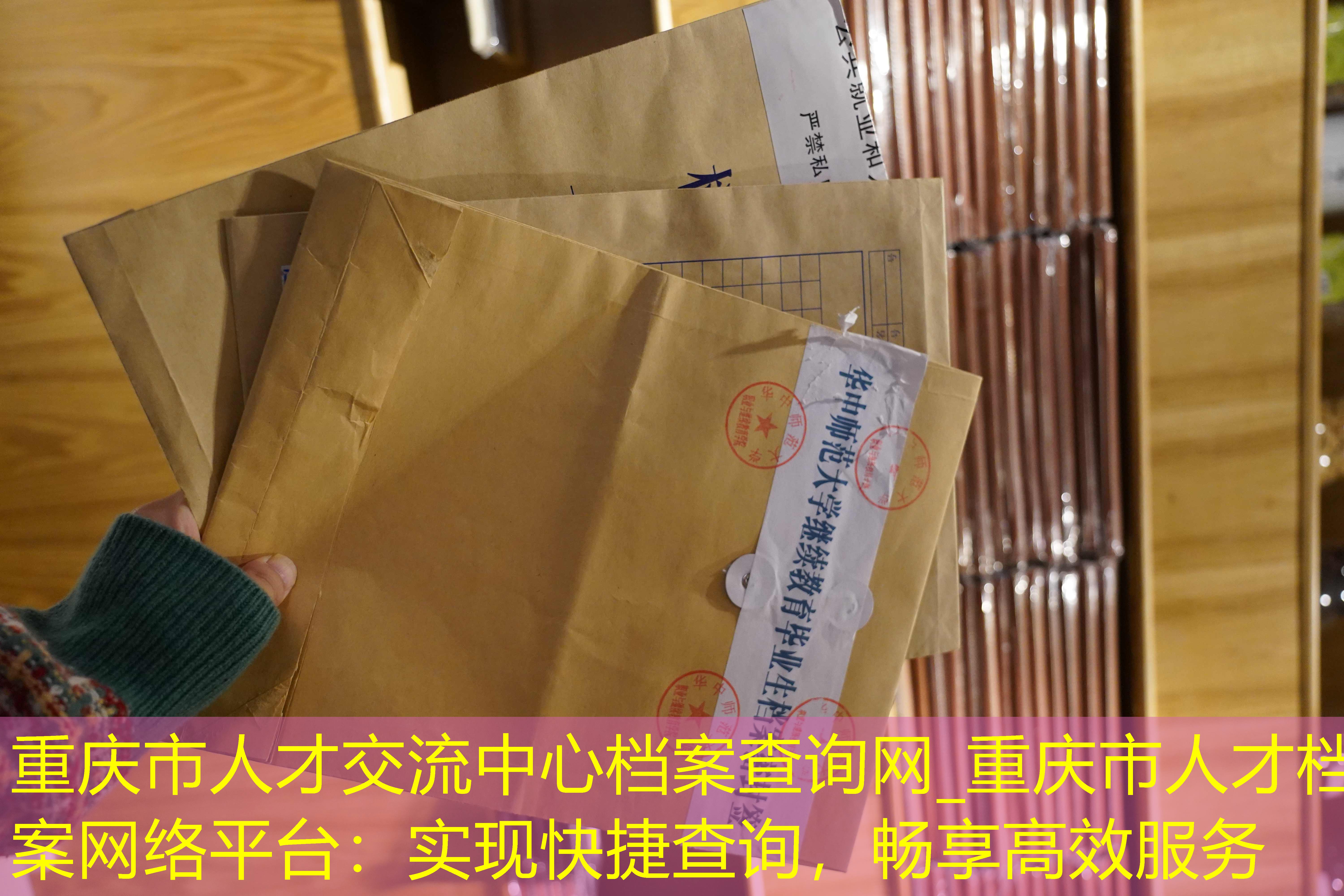 档案查询
