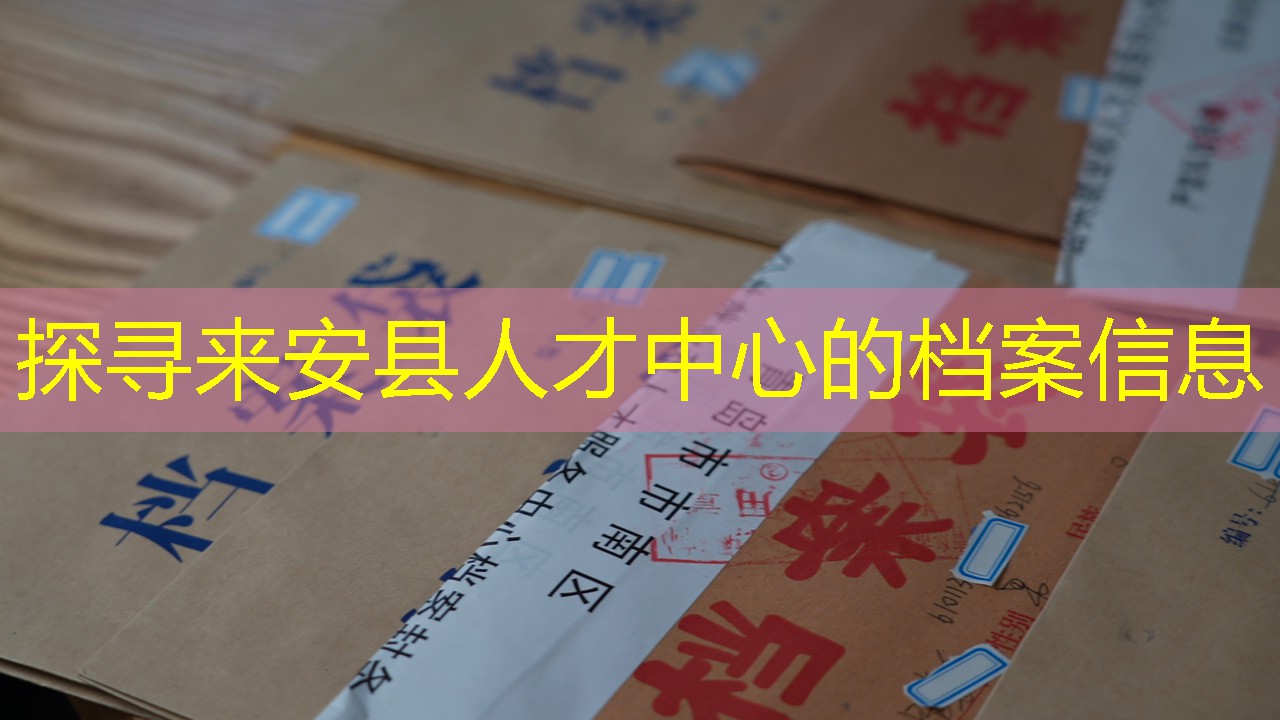 档案查询