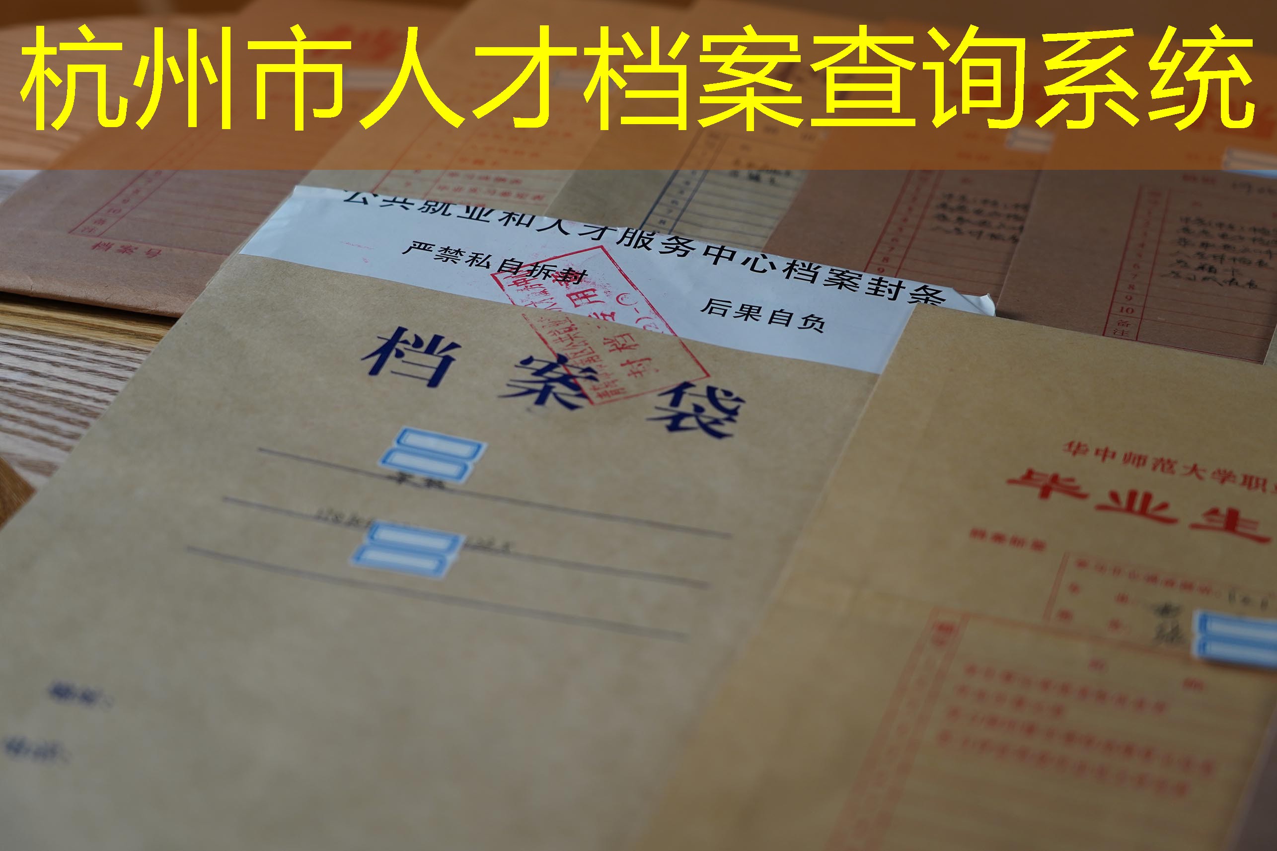 档案查询