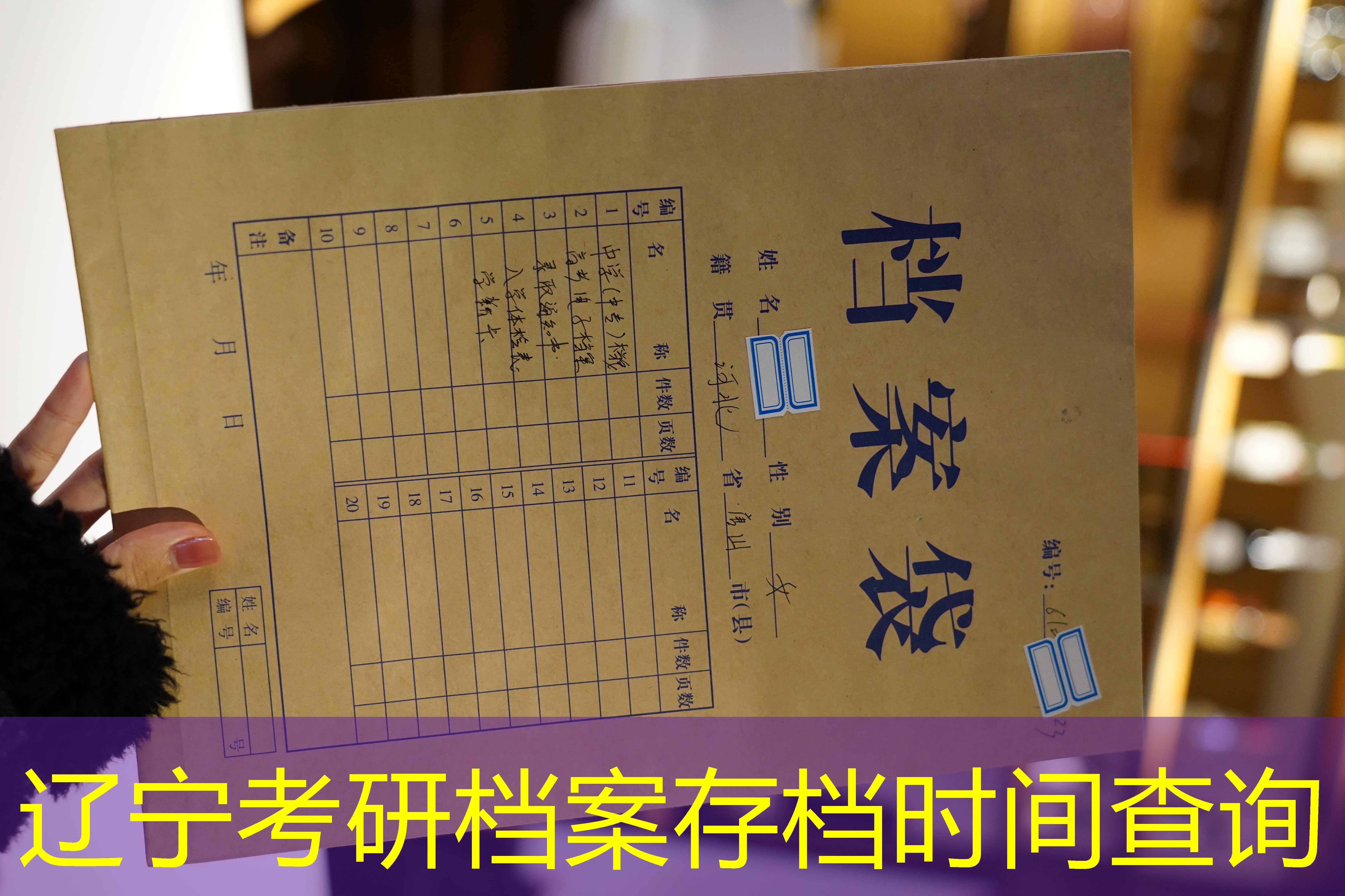 档案查询