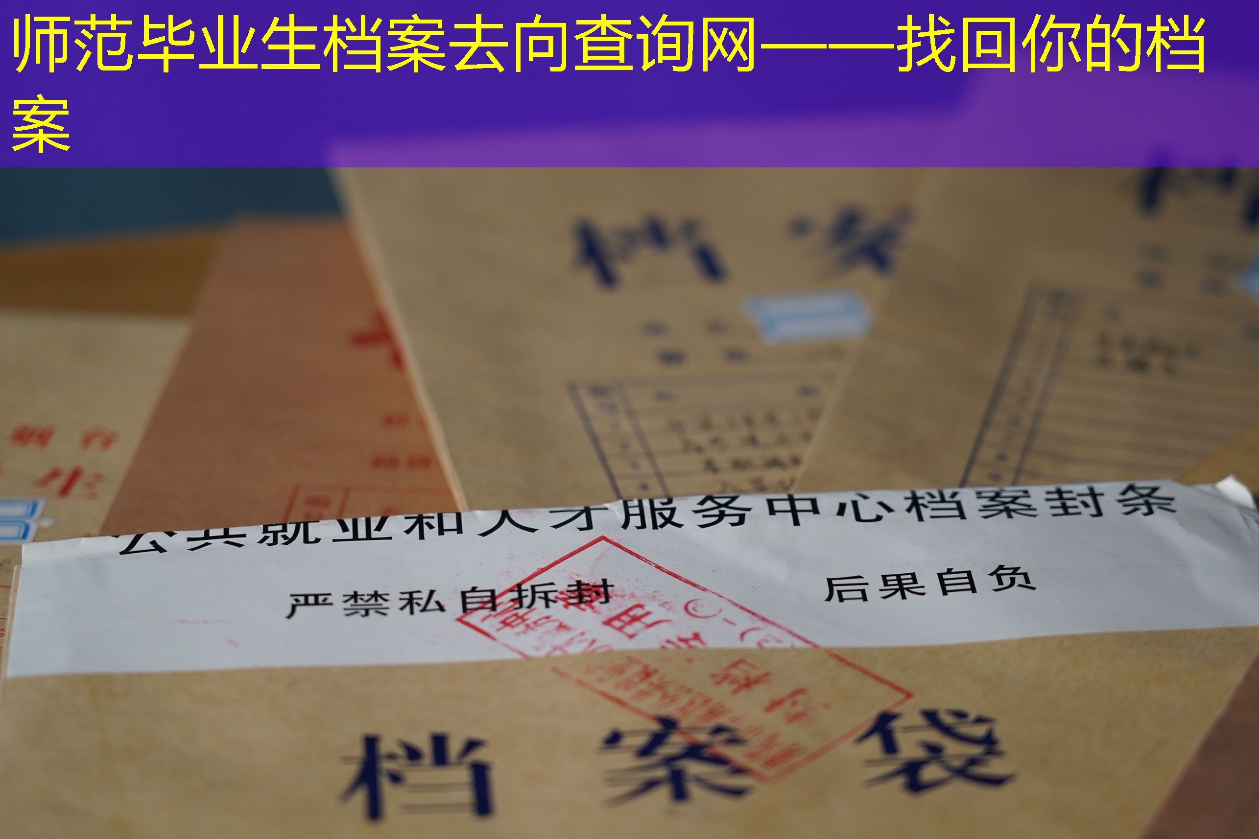 档案查询