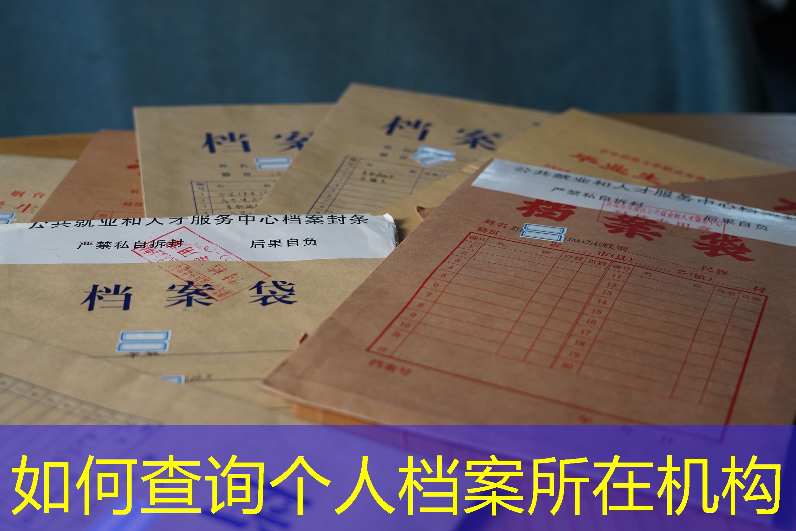 档案查询