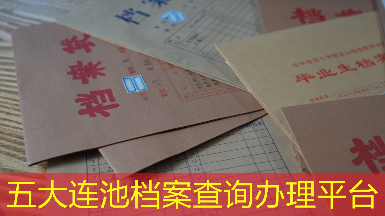 档案查询